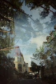 A detailed photo montage blending nature and urban elements with smooth overlays.