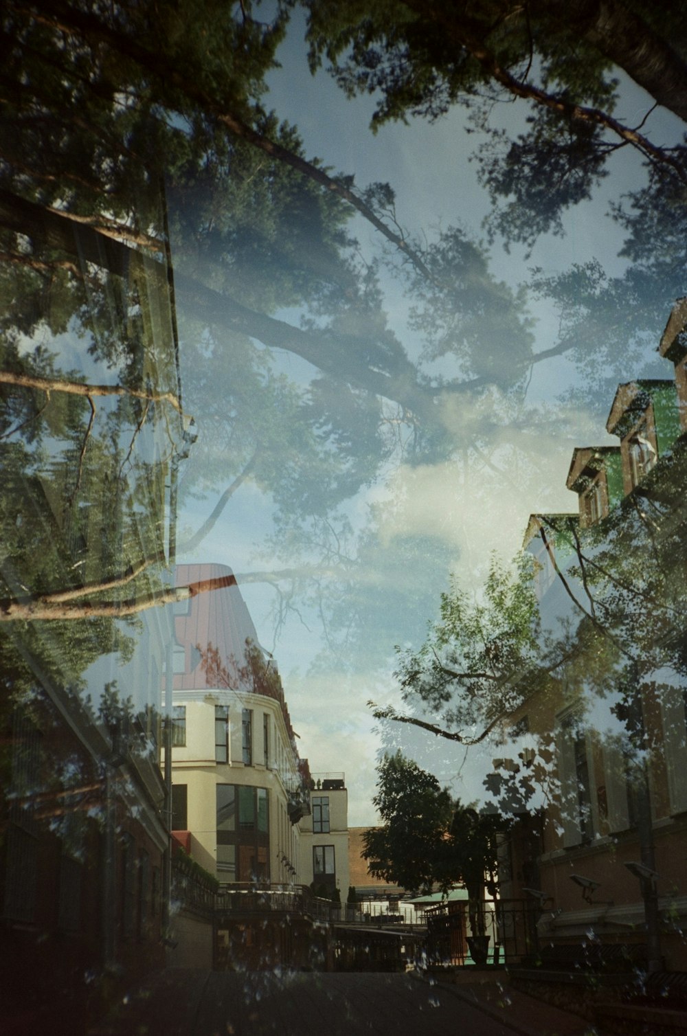a reflection of a building and trees in a window
