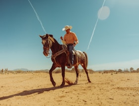 A person wearing a hat and an orange shirt rides a dark horse across a sandy desert landscape. Two white contrails streak across the clear blue sky, and sparse vegetation is visible in the background.