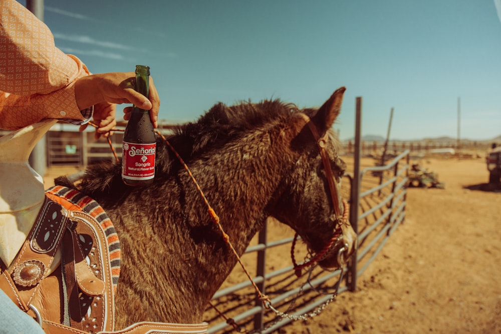 a person holding a bottle of beer while riding a horse