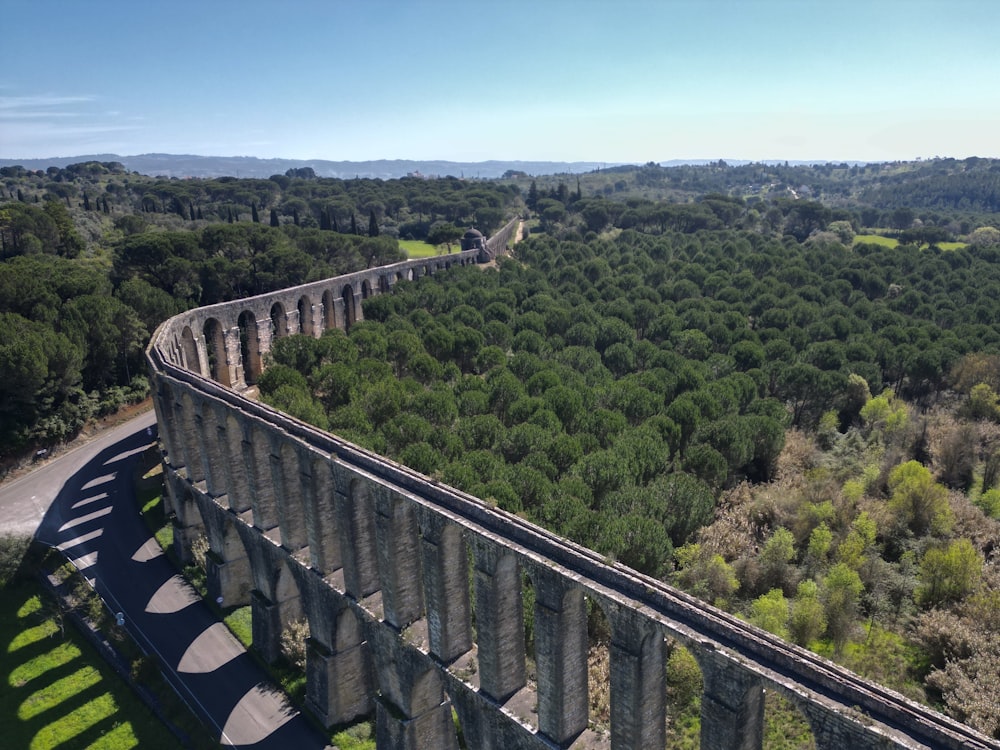 a train traveling over a bridge surrounded by trees