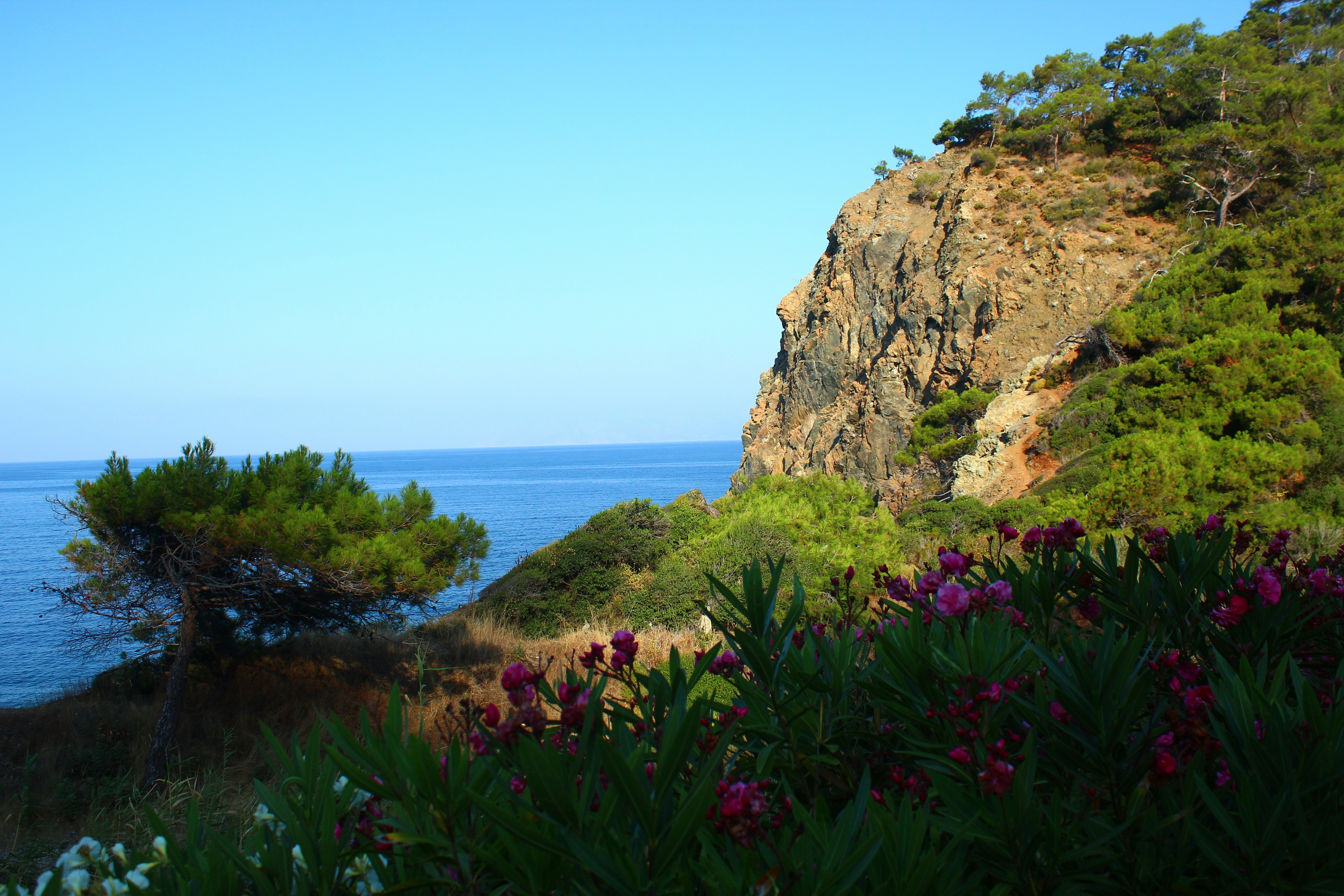 a view of the ocean from a cliff
