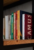a row of books sitting on top of a wooden shelf