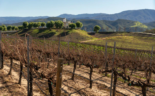 Exterior shot of a charming house surrounded by vineyards in Valle de Uco under a clear blue sky.