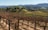 A scenic view of a vineyard with rolling hills under a clear blue sky.