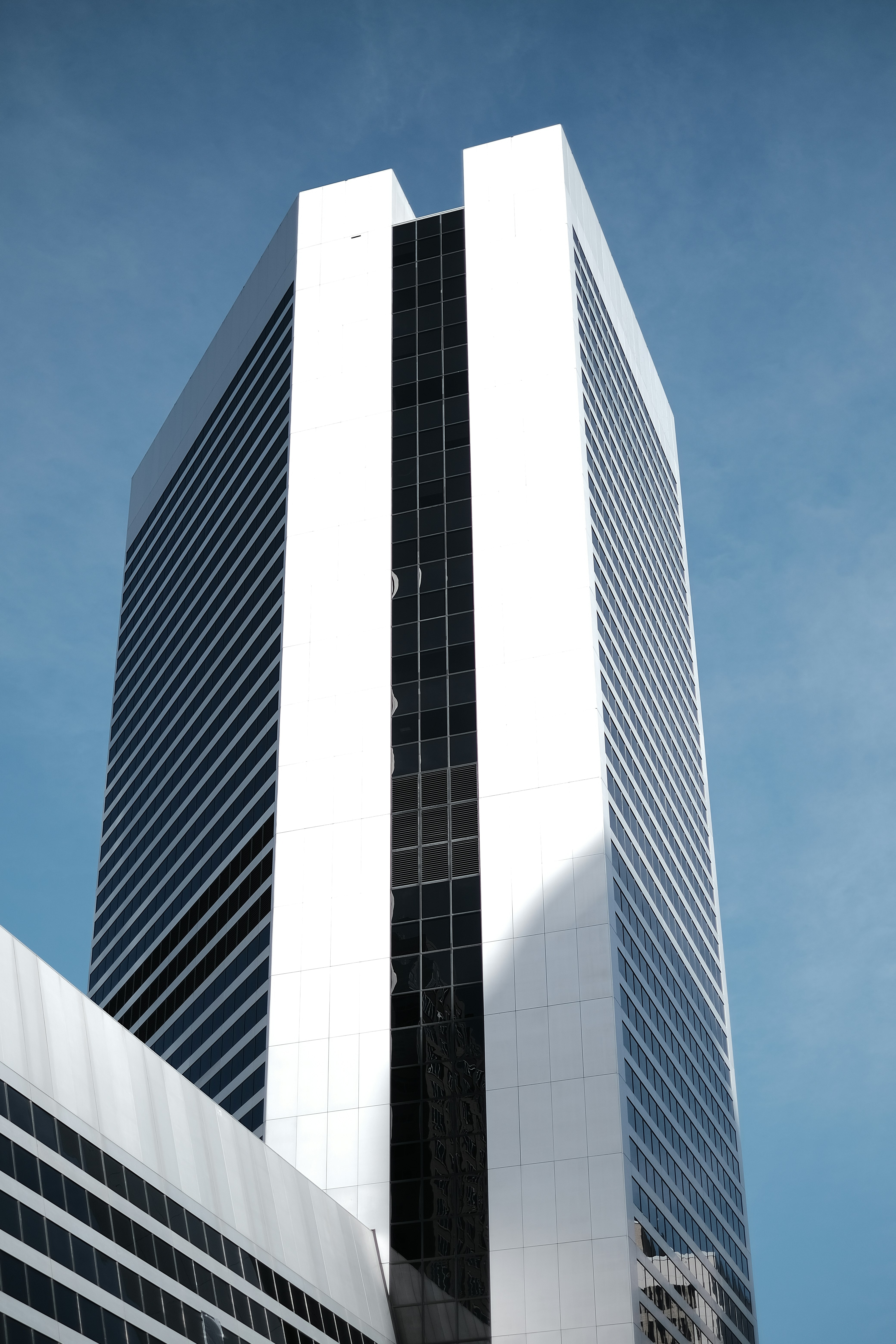 Photo by dillydallying