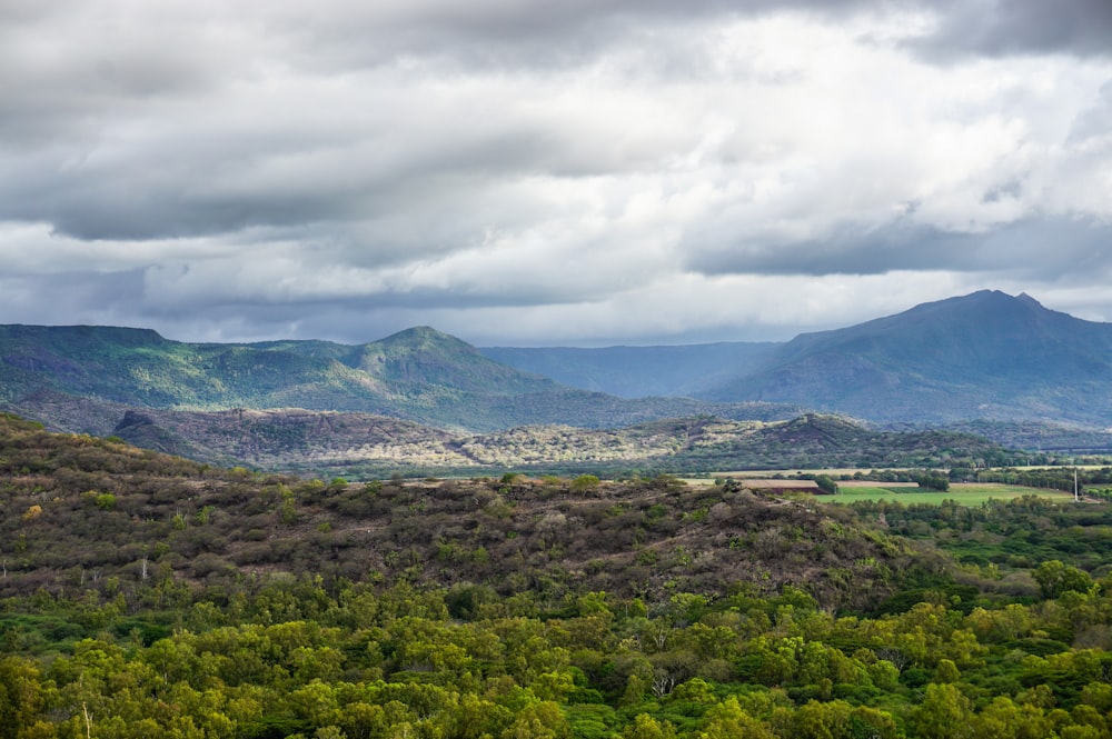 a scenic view of mountains and trees under a cloudy sky