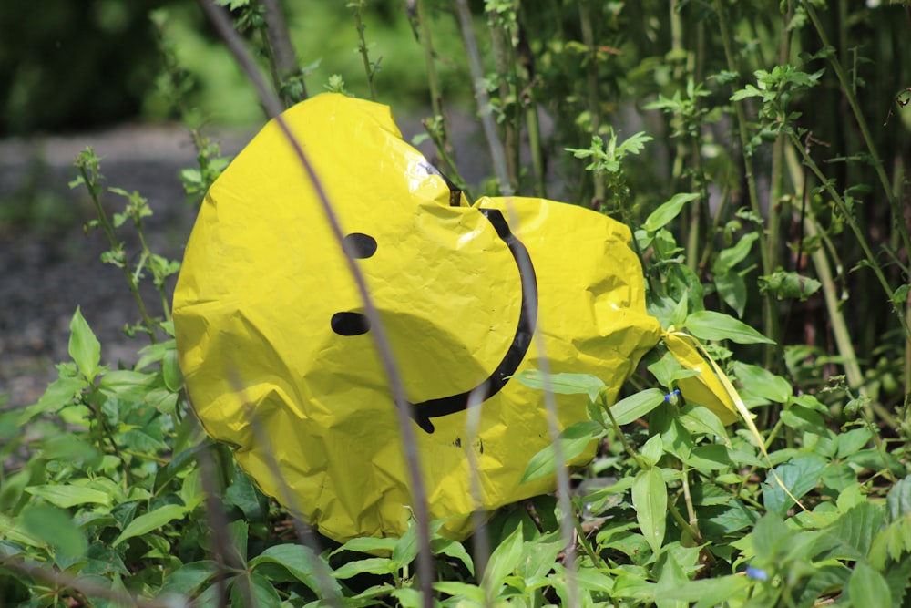 a yellow paper bag with a smiley face on it