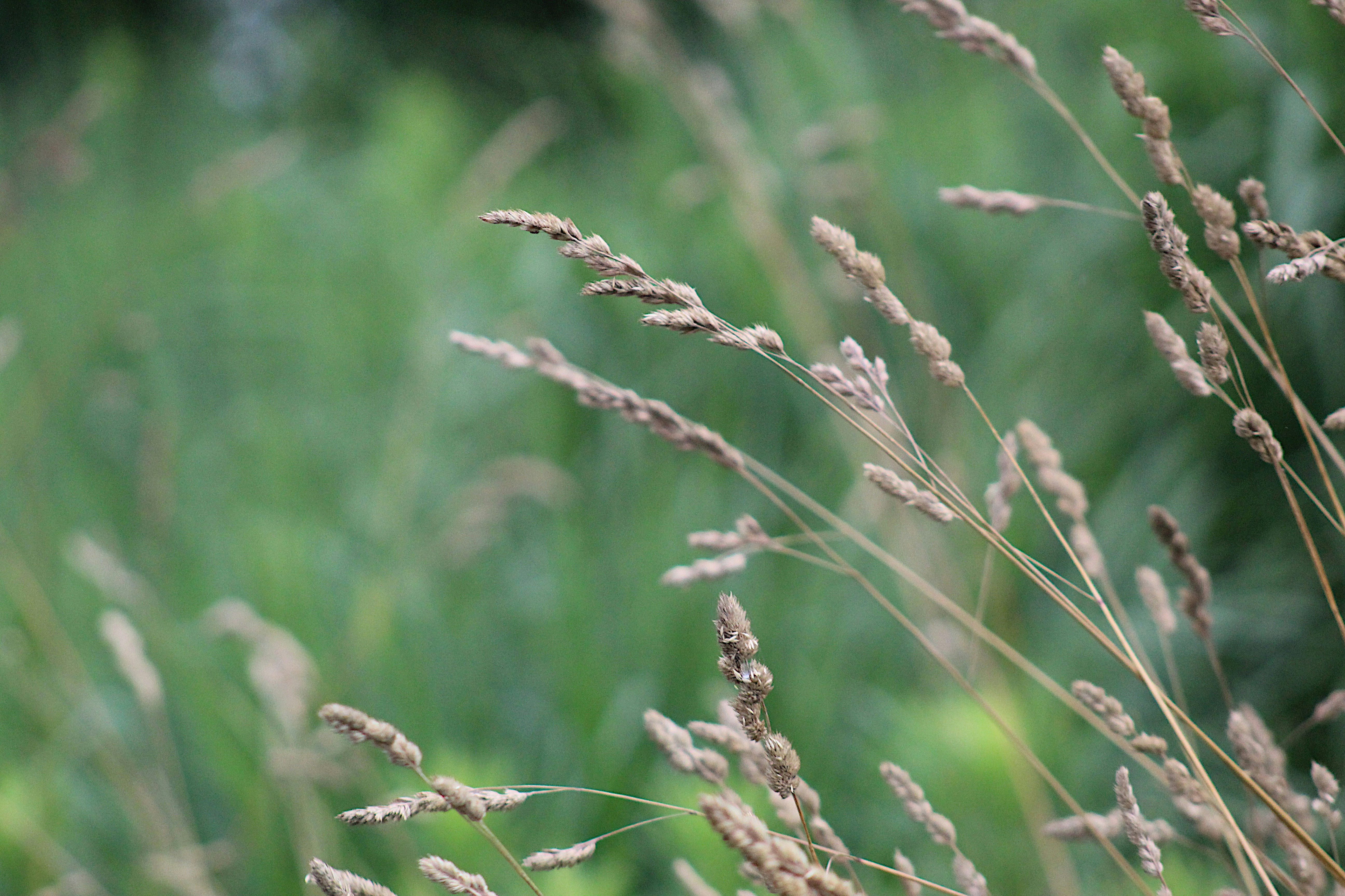 Photo by acb_photography