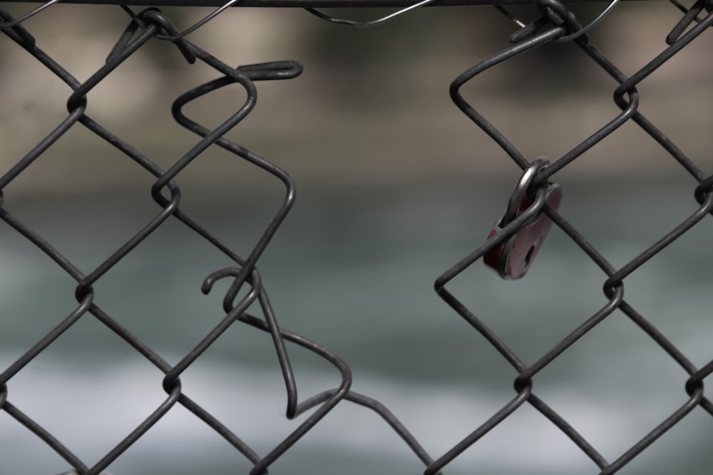 a pair of scissors stuck in a chain link fence
