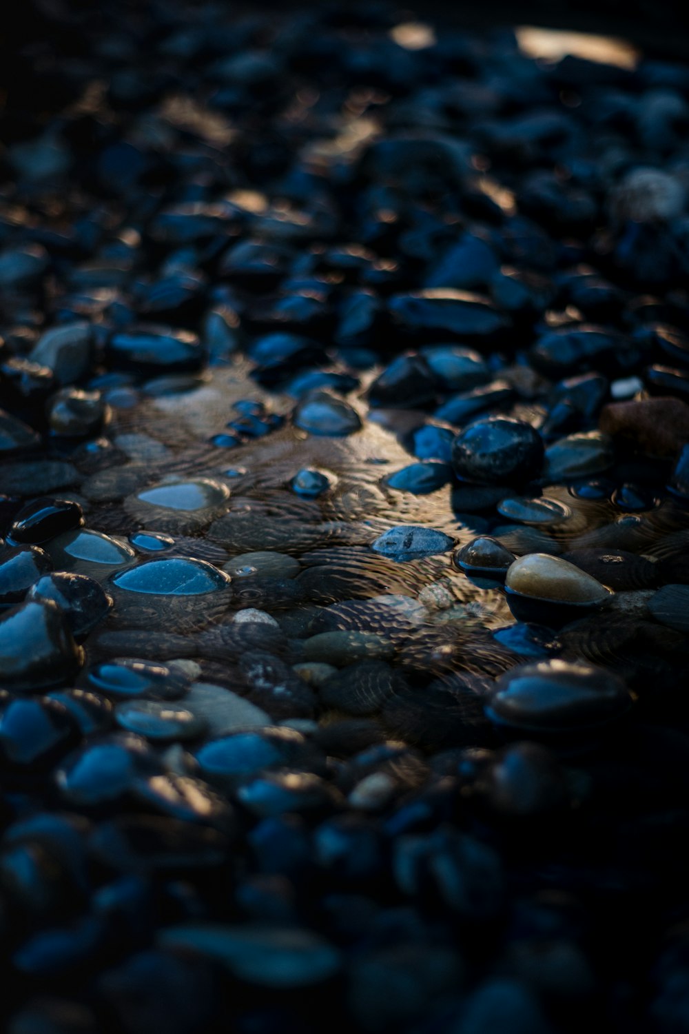 a close up of rocks and water on a beach