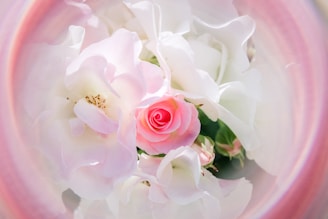 Close-up of a blush pink eternal rose bouquet with delicate silk petals catching soft light.