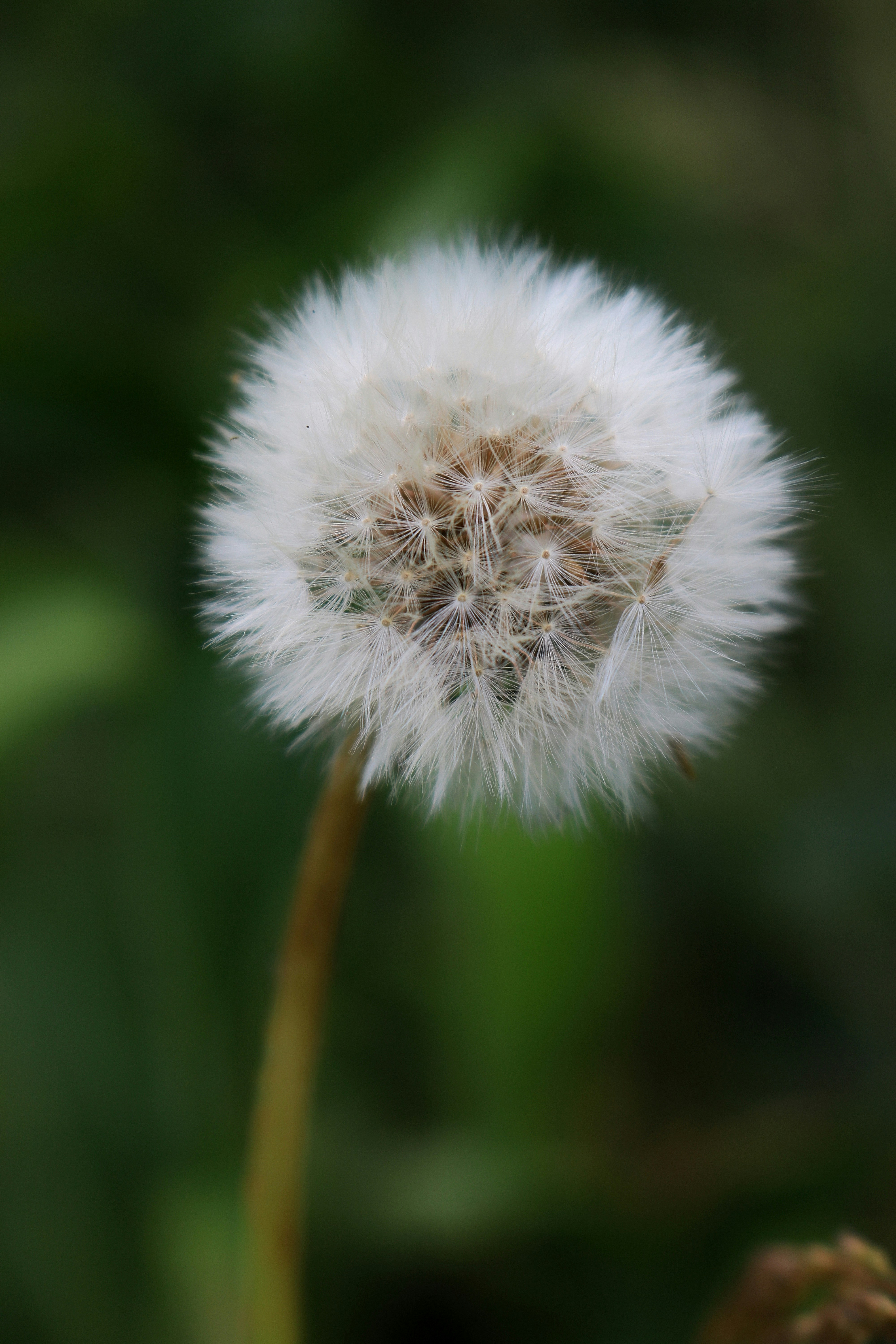 Photo by hannahruthemeyer