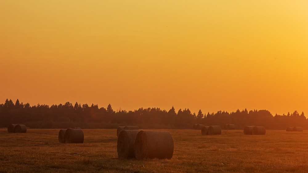 a field full of hay bales at sunset