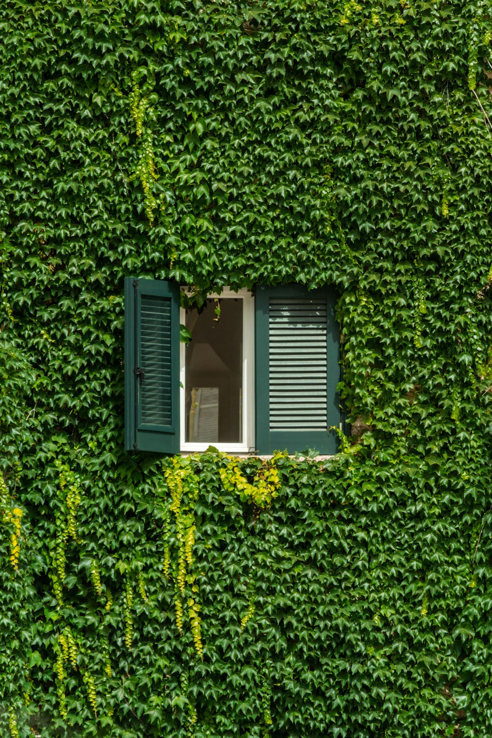 a green wall with a window and shutters
