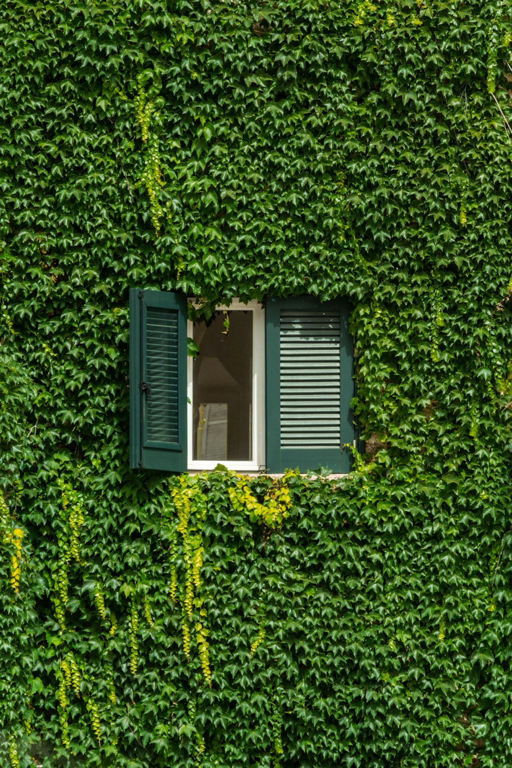 una pared verde con una ventana y persianas