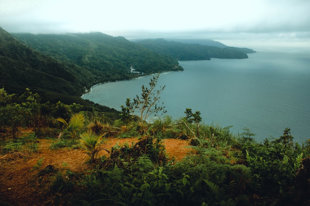 a body of water surrounded by lush green hills