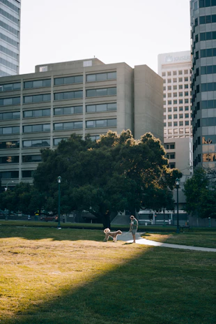 A joyful family walking their dog in a sunny São Paulo neighborhood park.