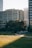 A person walks a dog on a sunlit patch of grass in an urban park, surrounded by tall office buildings. The scene captures a moment of tranquility amidst the city's architecture, with a large tree providing some shade.