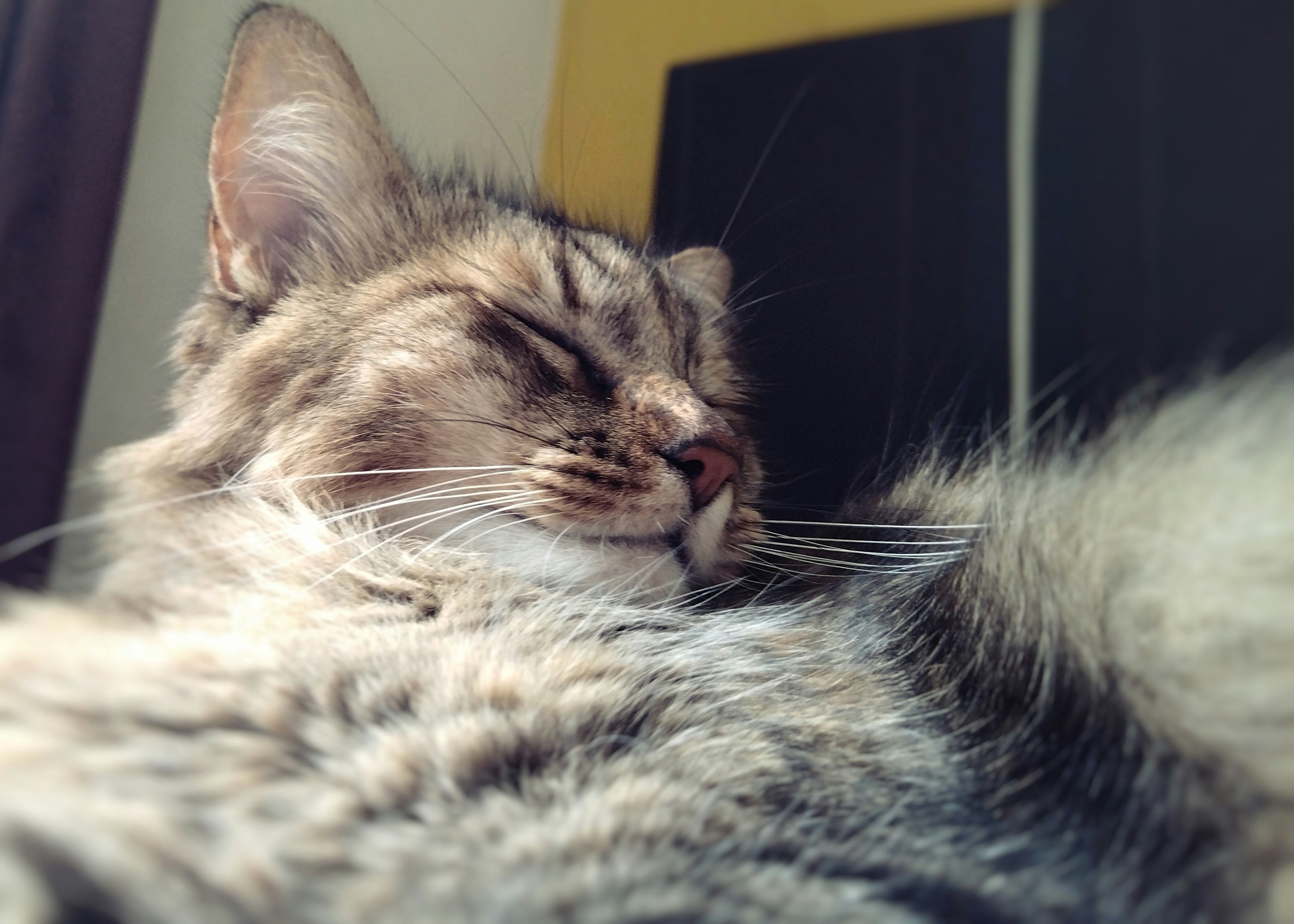 Photo by oscarespiritu