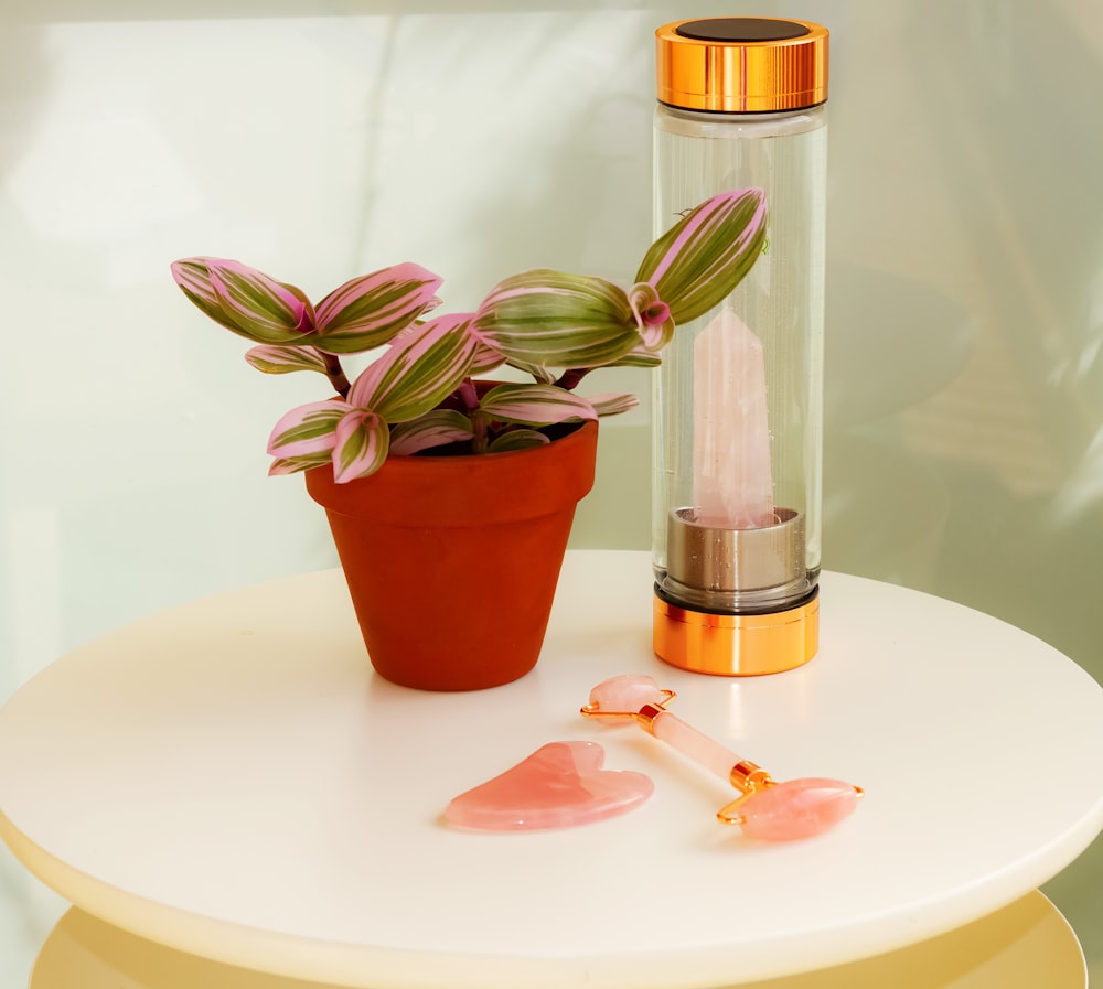 a small potted plant sitting on a table next to a glass bottle