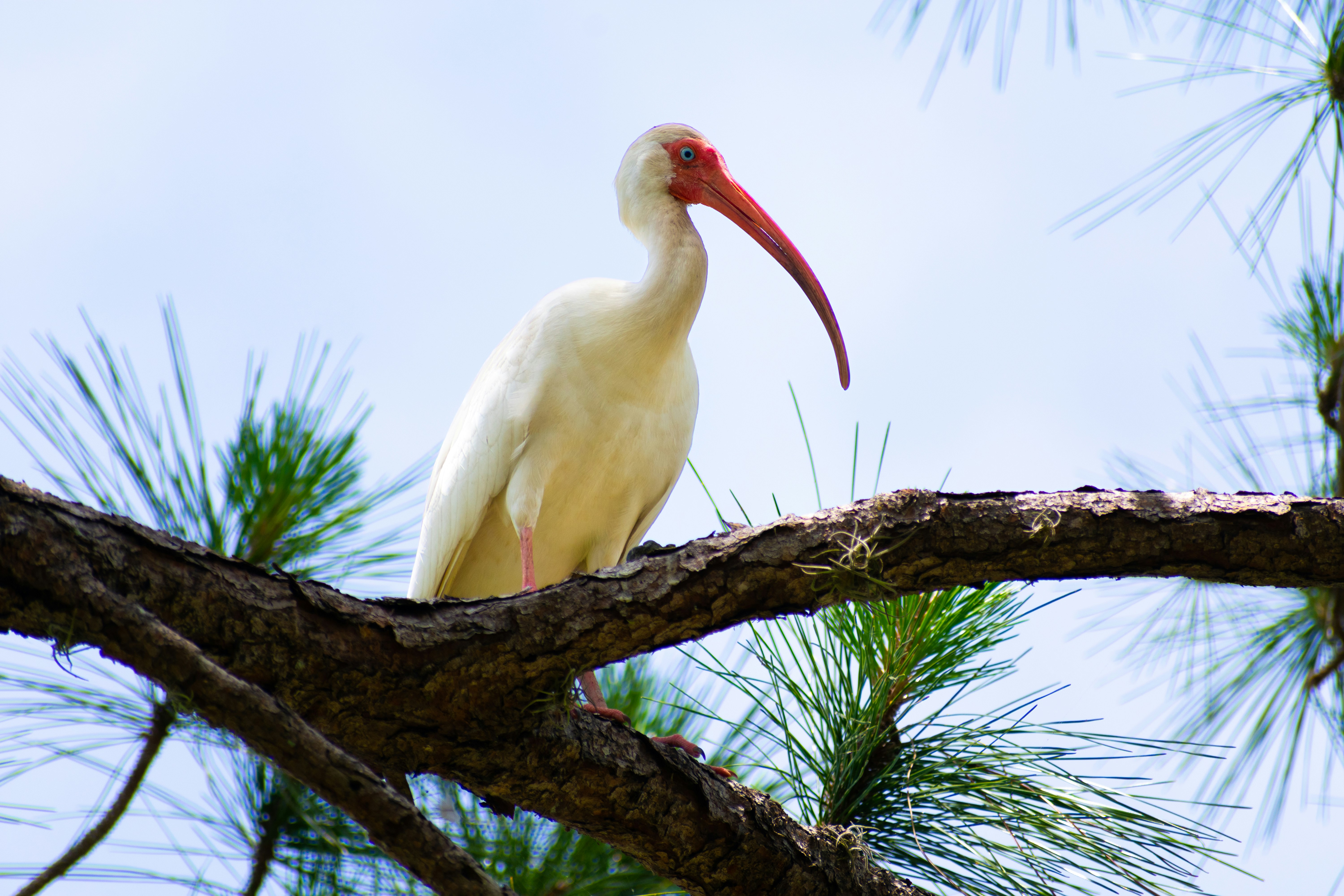 Photo by probablyrobin