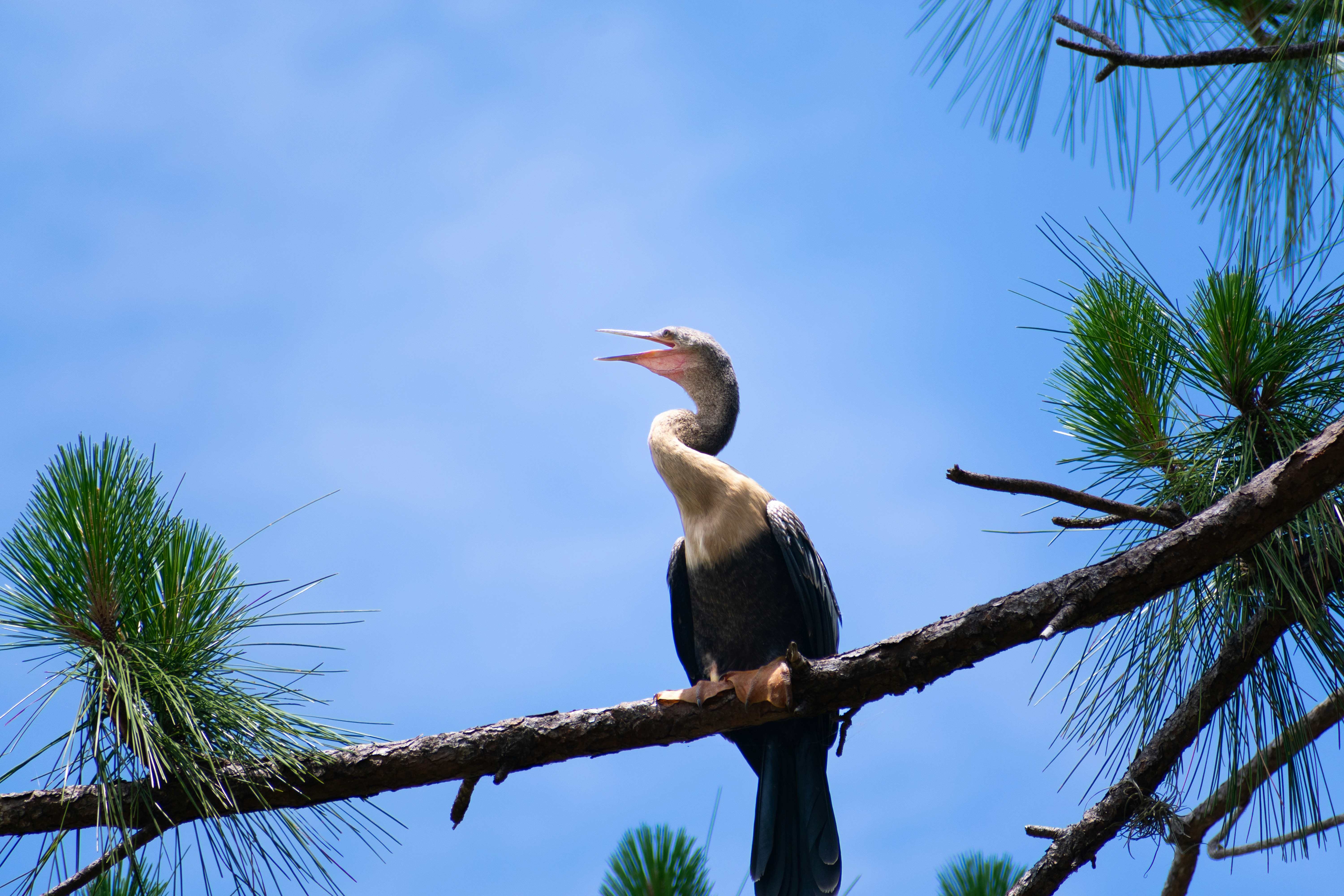 Photo by probablyrobin