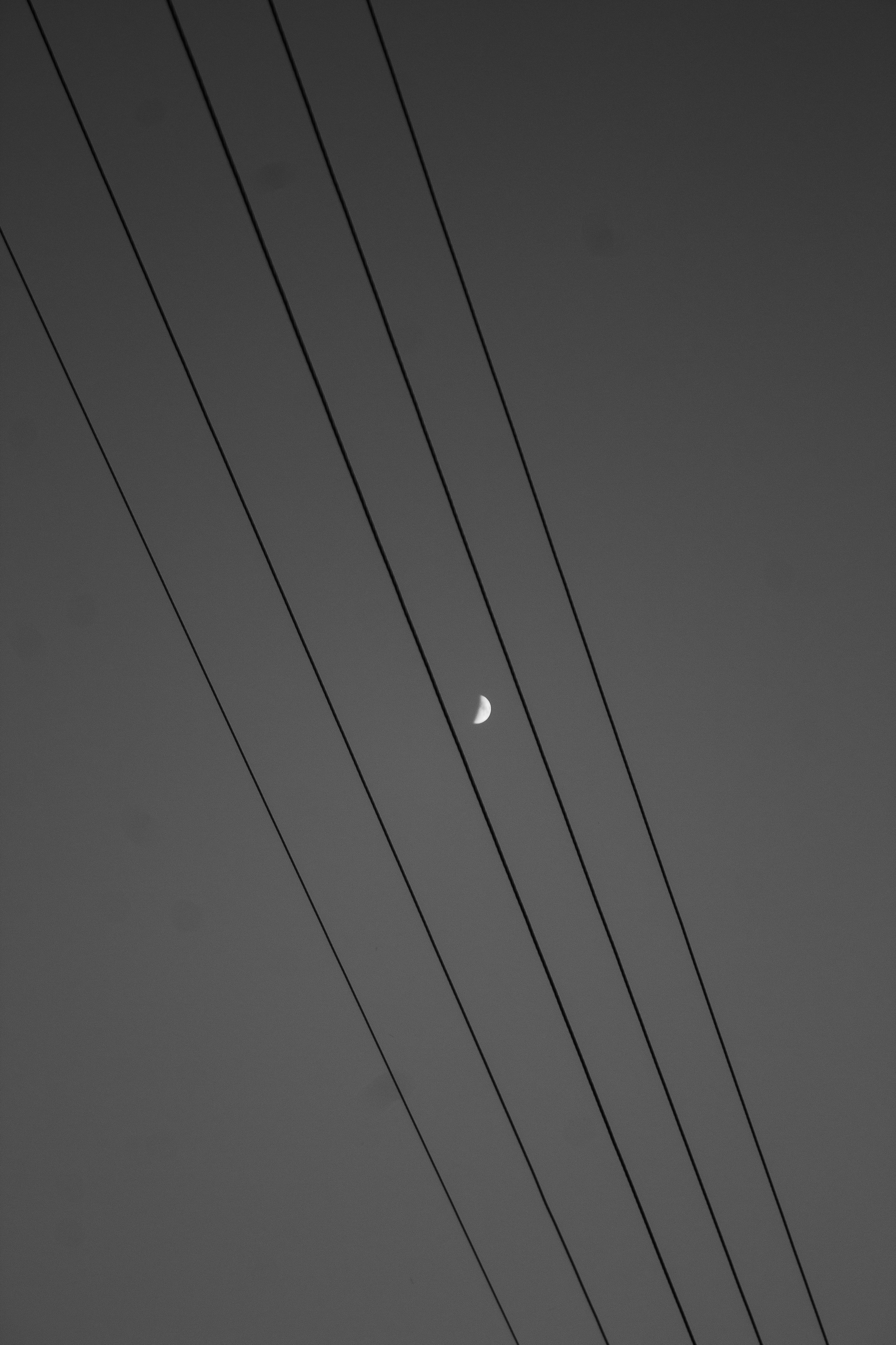 Photo by furkandurmus