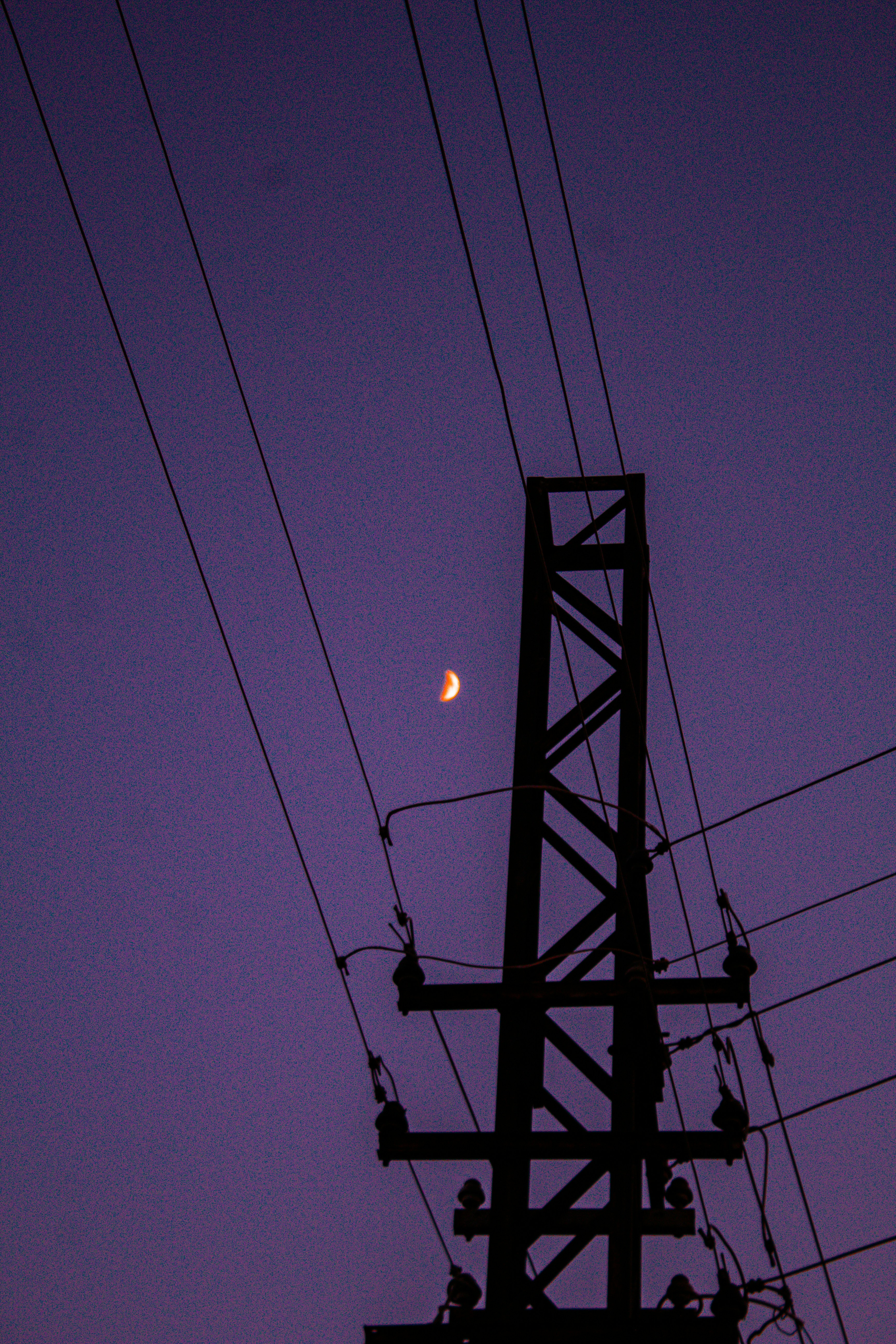 A full moon is seen behind power lines photo – Free Animal Image on ...