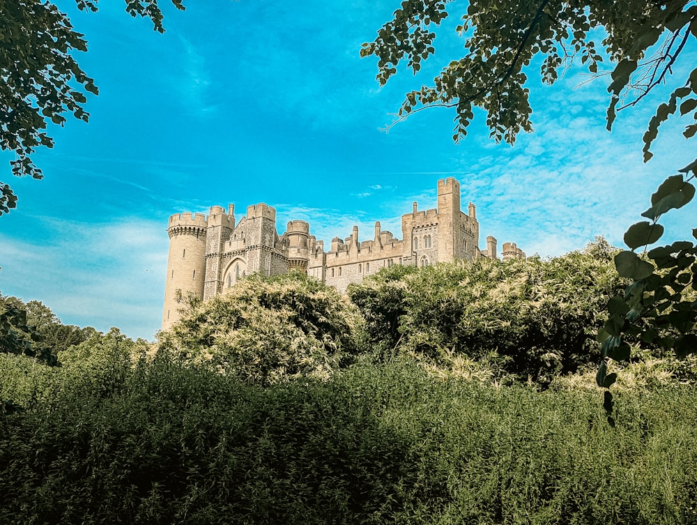 a castle with a blue sky in the background