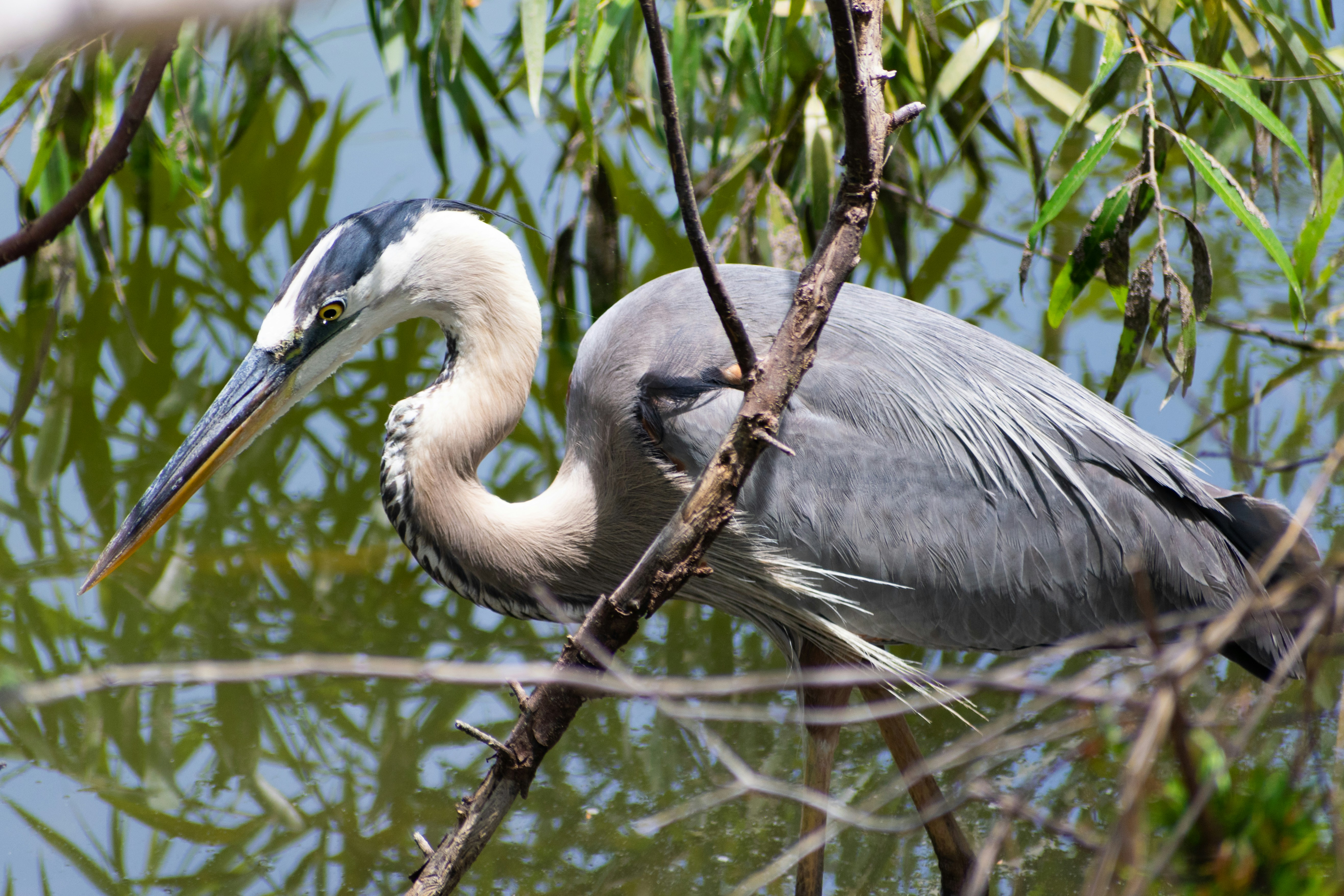 Photo by probablyrobin