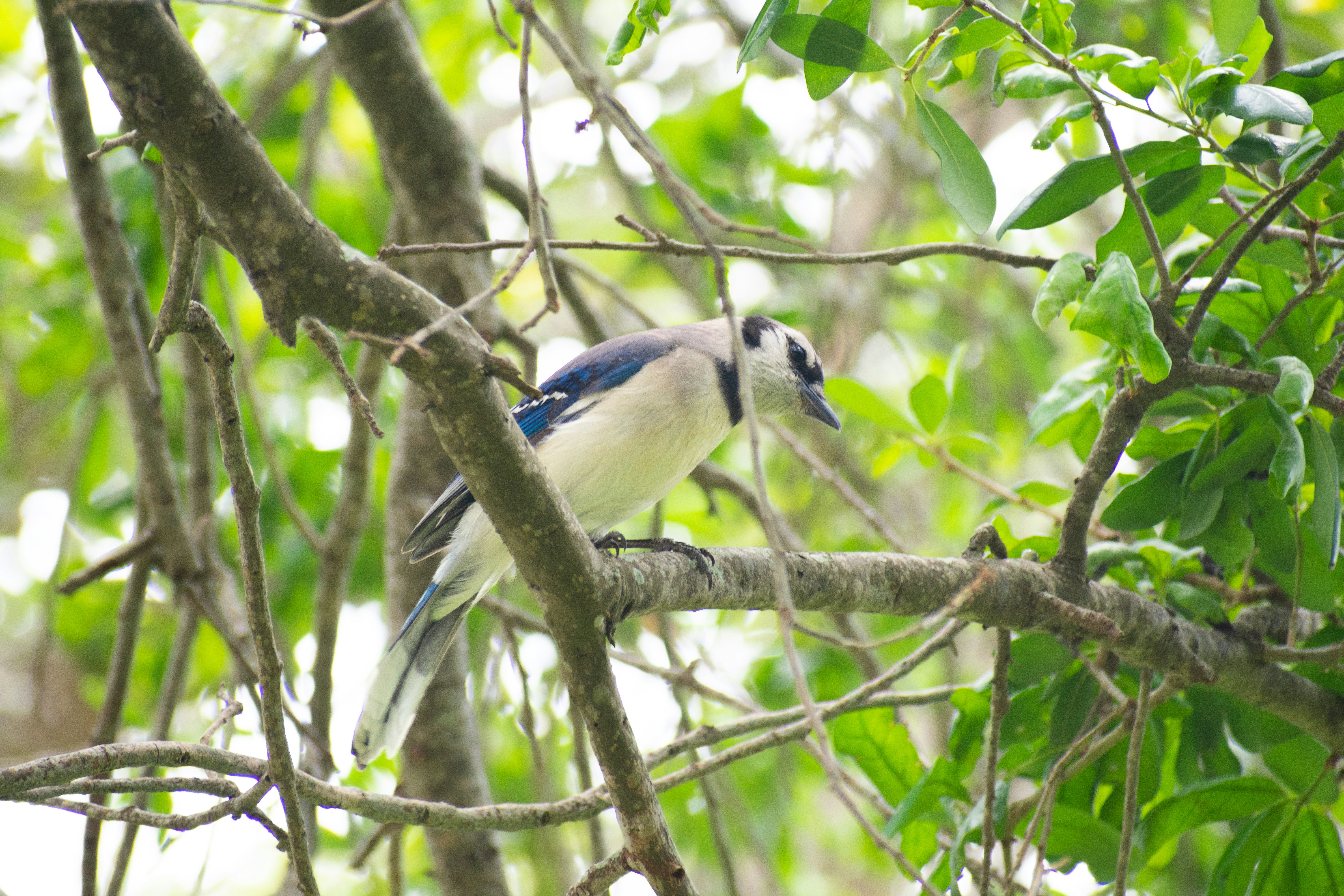 Photo by probablyrobin