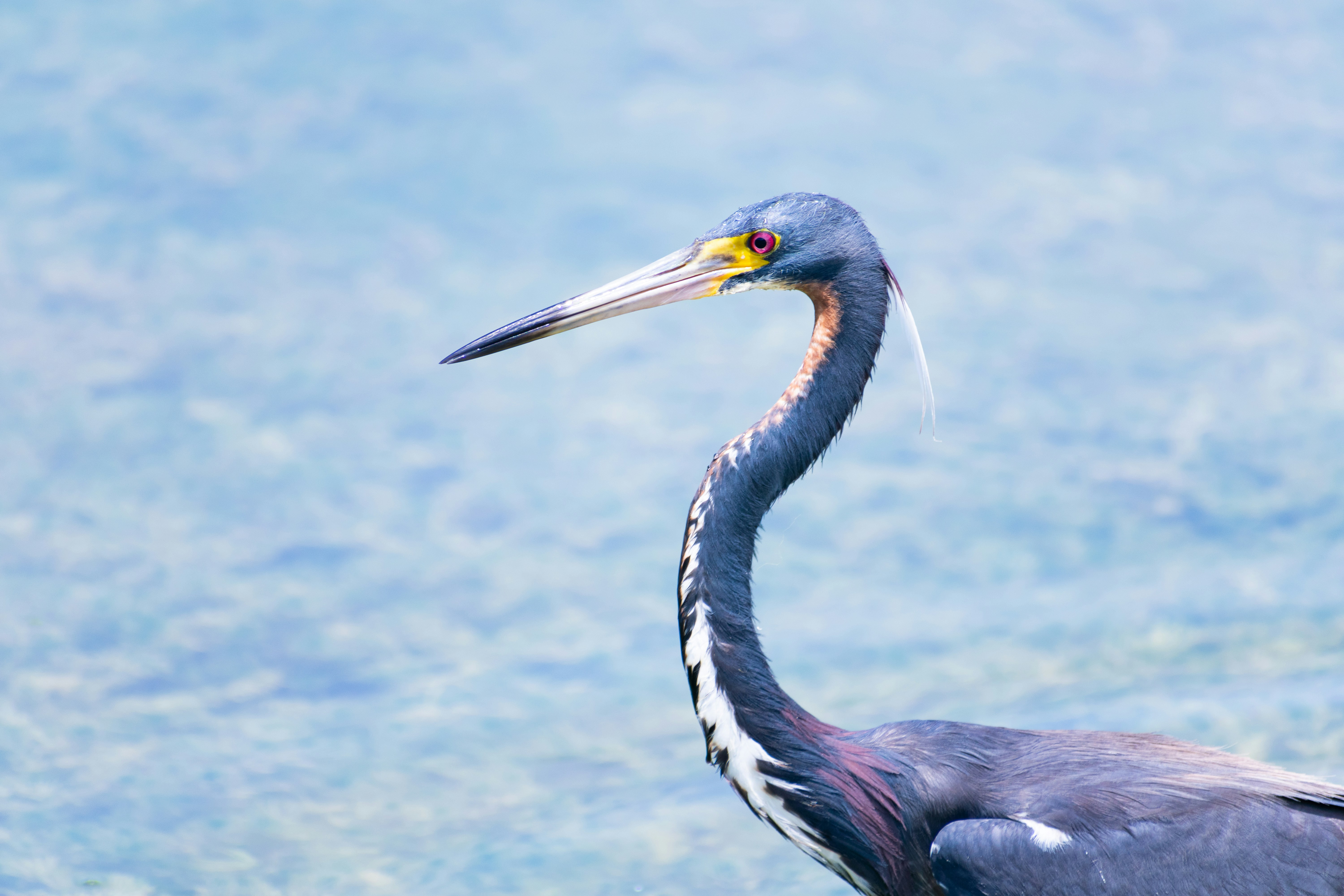 Photo by probablyrobin