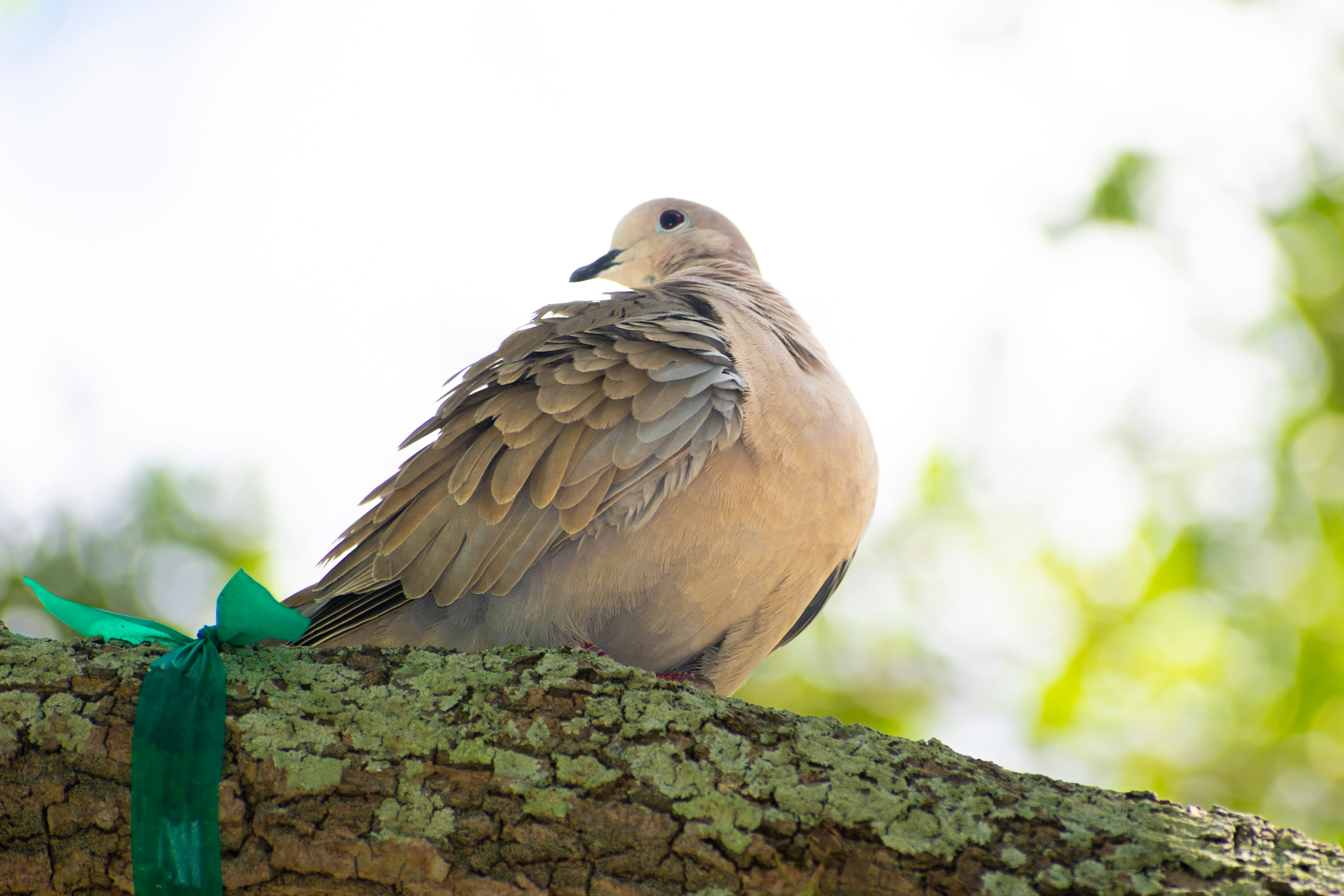 Photo by probablyrobin