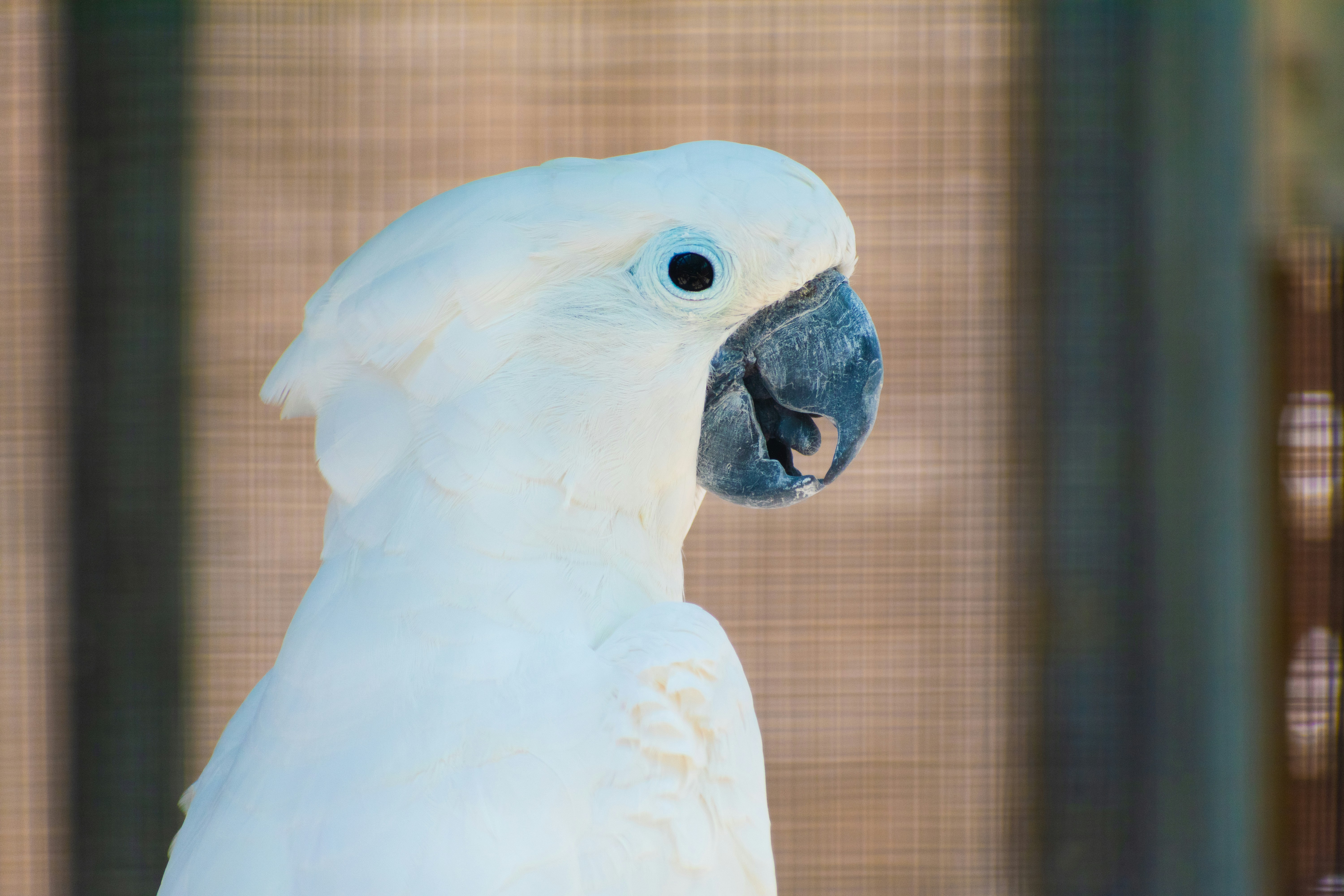 Photo by probablyrobin