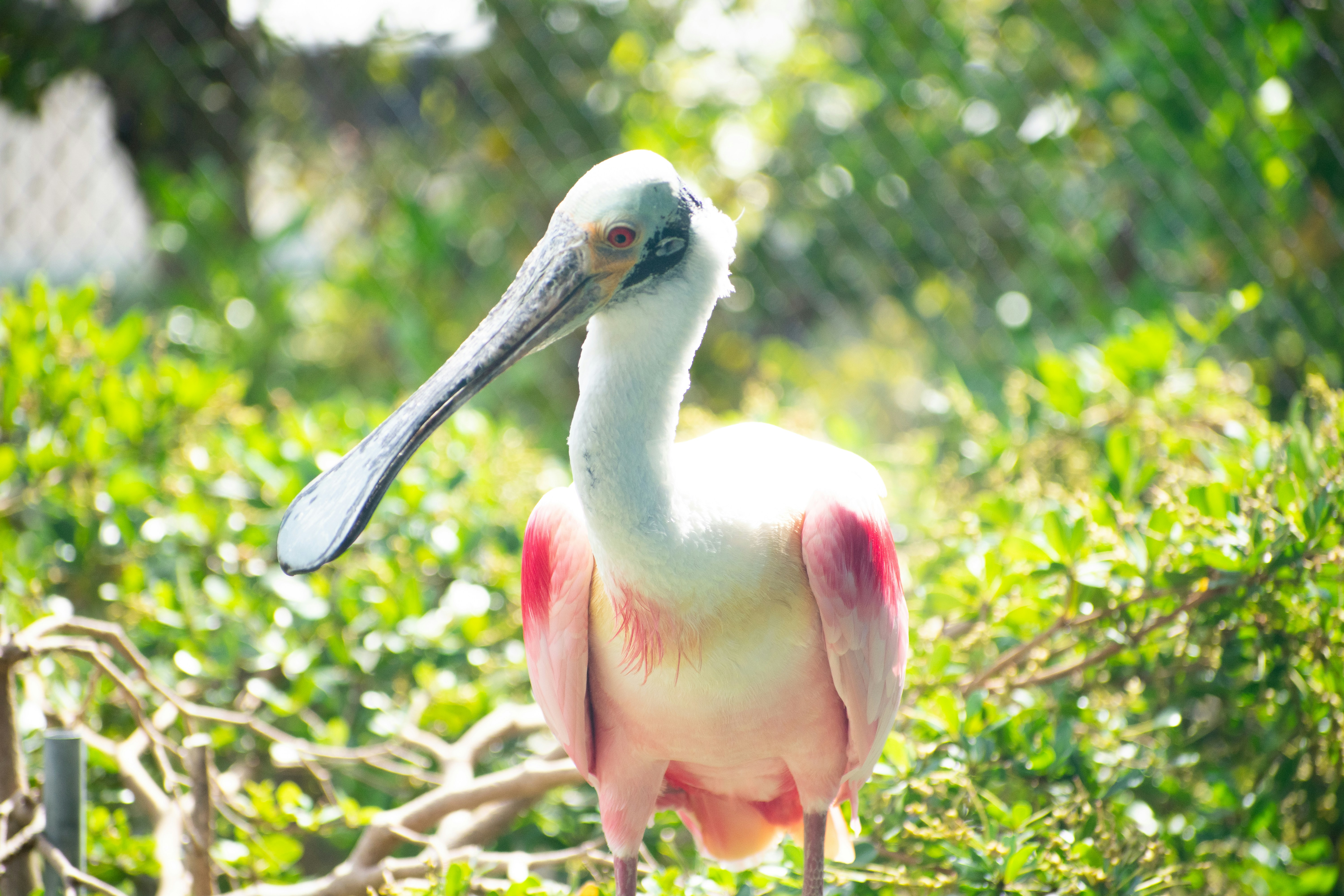 Photo by probablyrobin