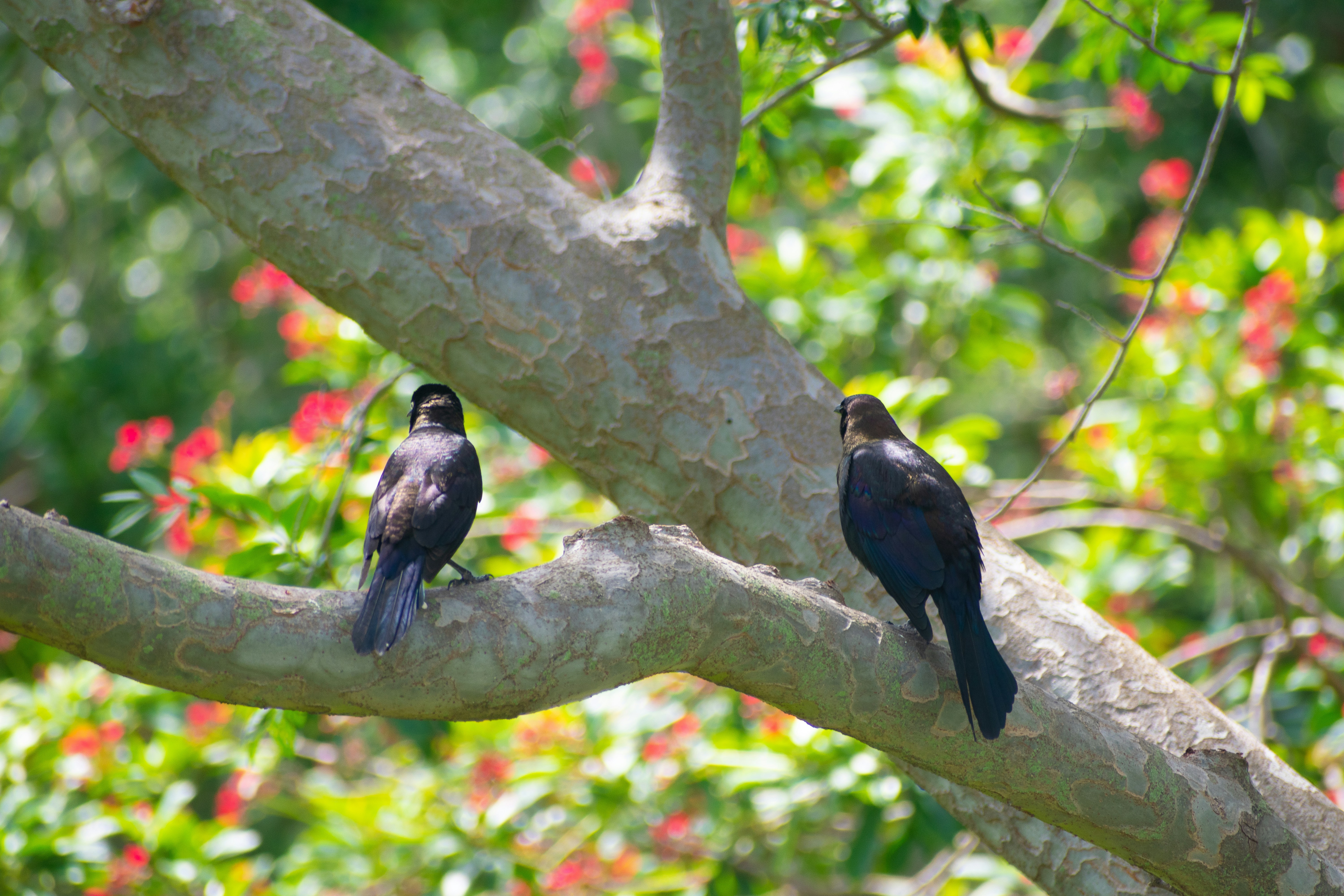 Photo by probablyrobin