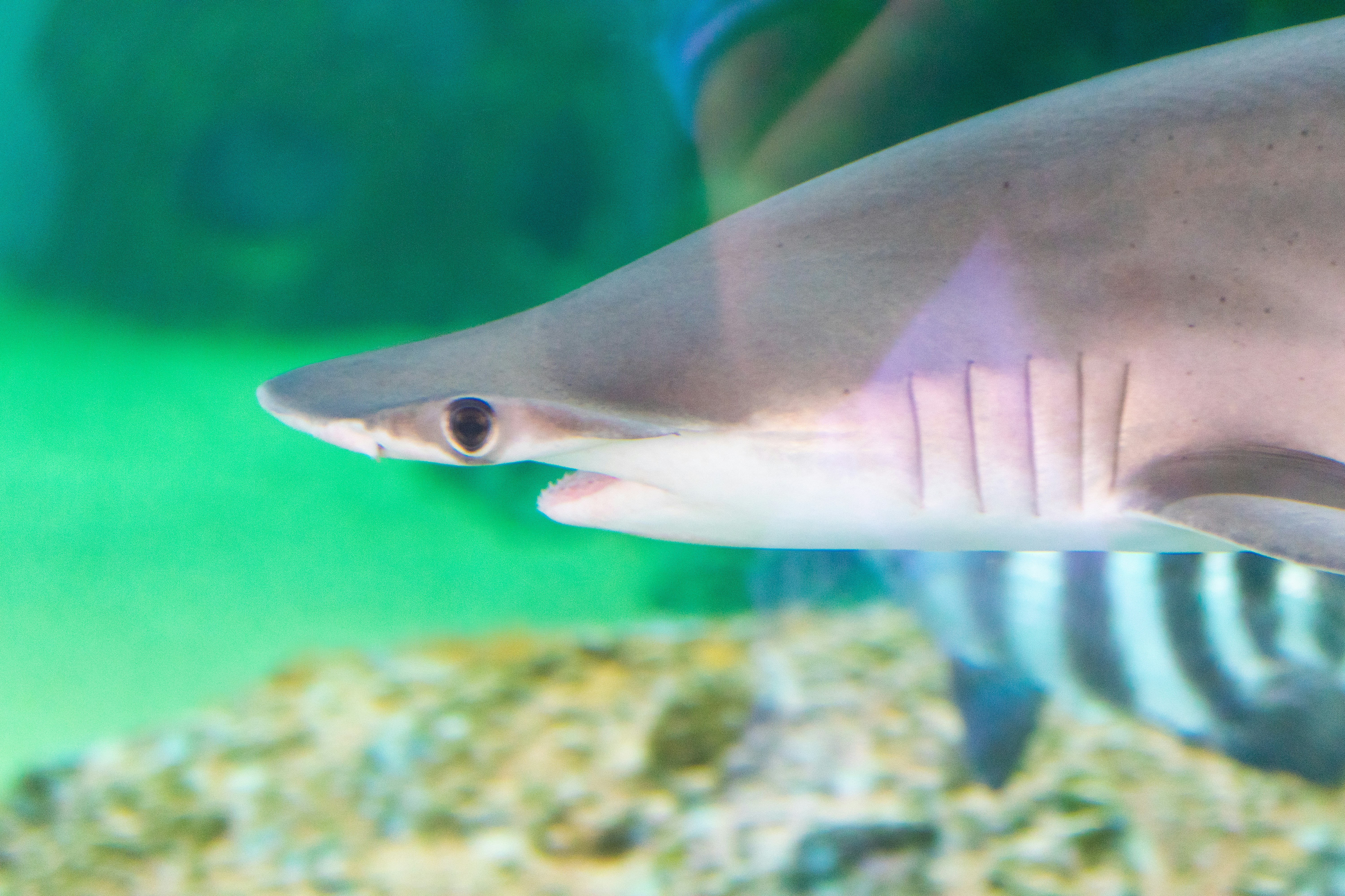 Photo by probablyrobin