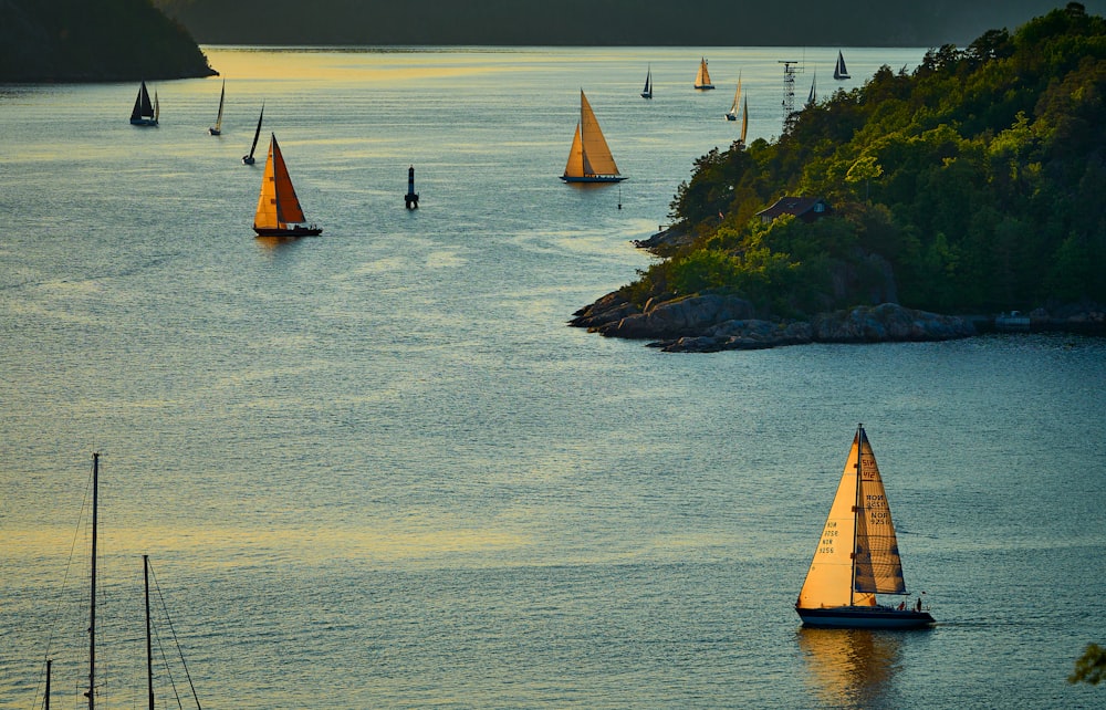 a group of sailboats floating on top of a body of water