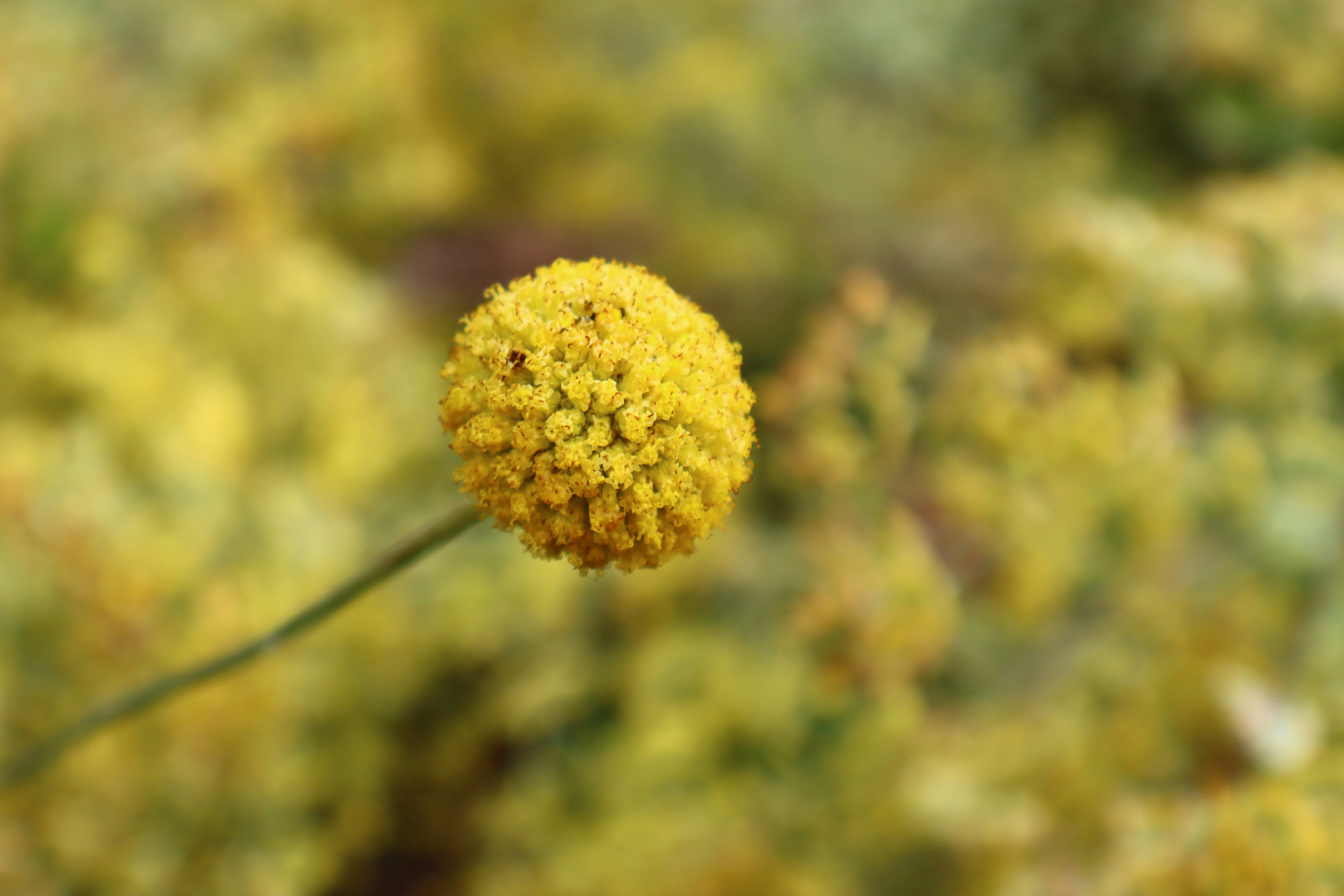 Photo by lovephotoroom