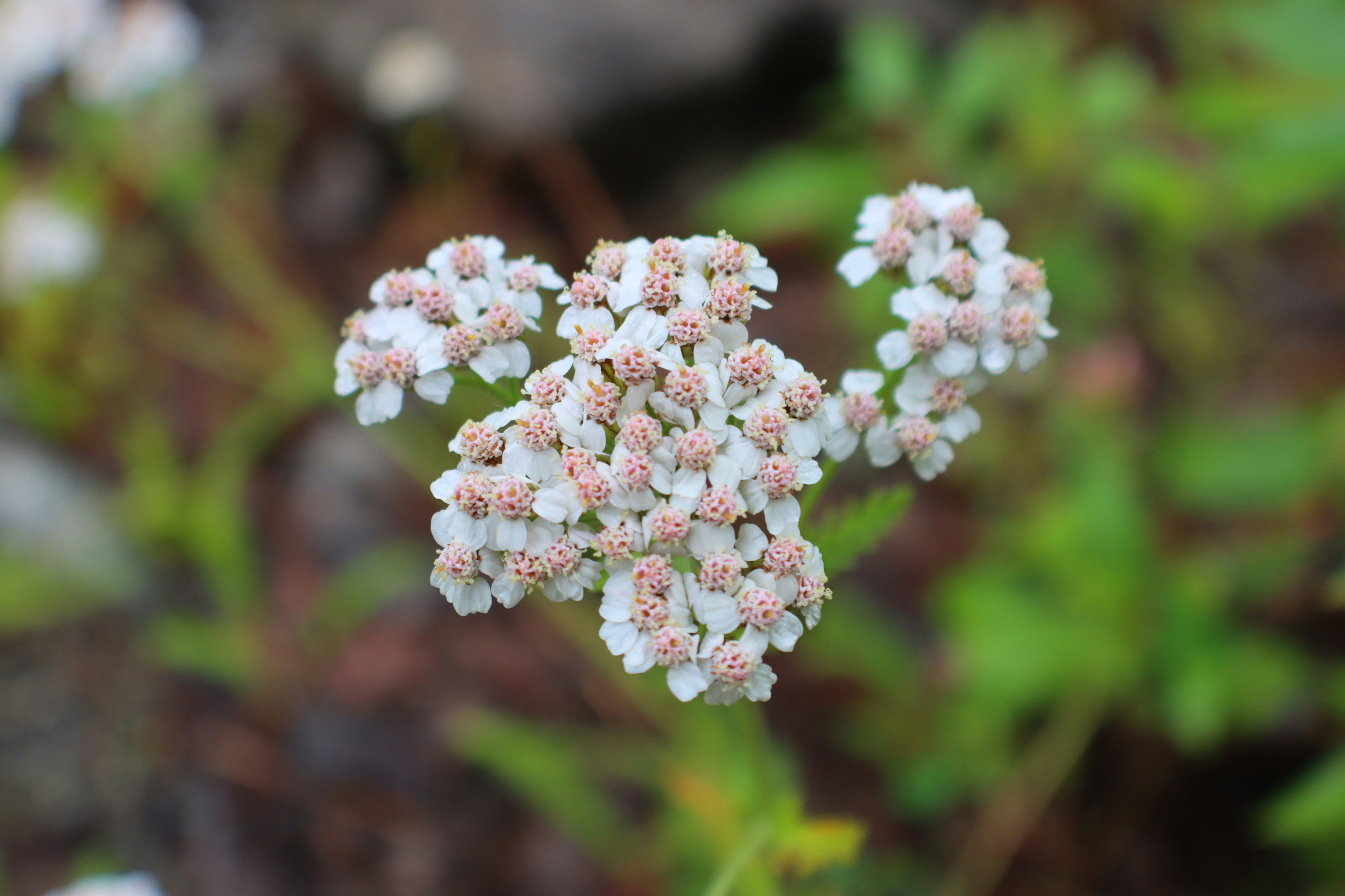 Photo by lovephotoroom