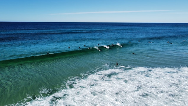 A group of surfers riding the waves in a vast ocean under a clear blue sky. The image captures the motion of the waves as they gently roll towards the shore, with several surfers actively engaging with the surf. The water displays various shades of blue and green, contrasting with the white foam created by the breaking waves.