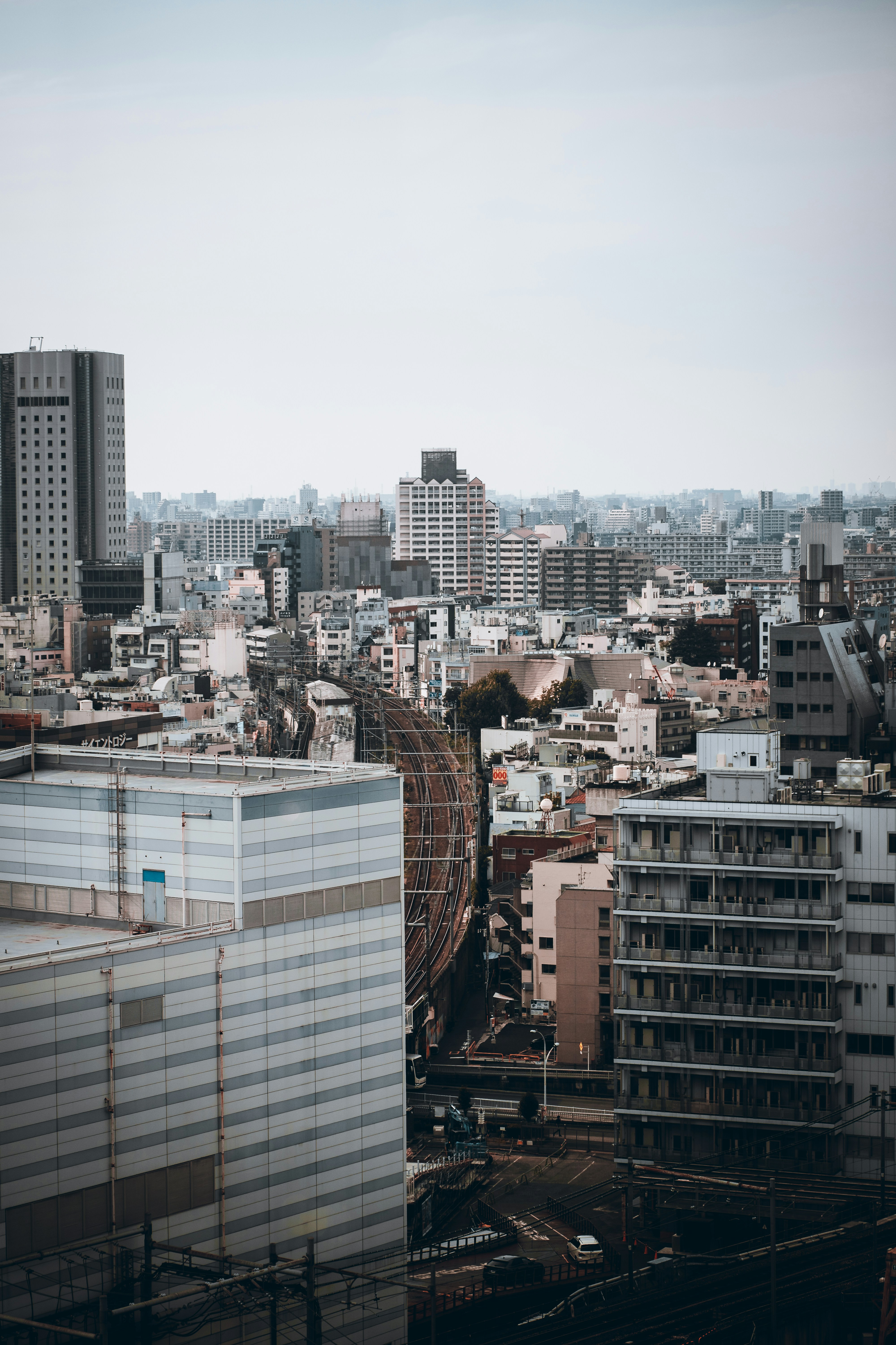 Photo by shields_mcmxcix