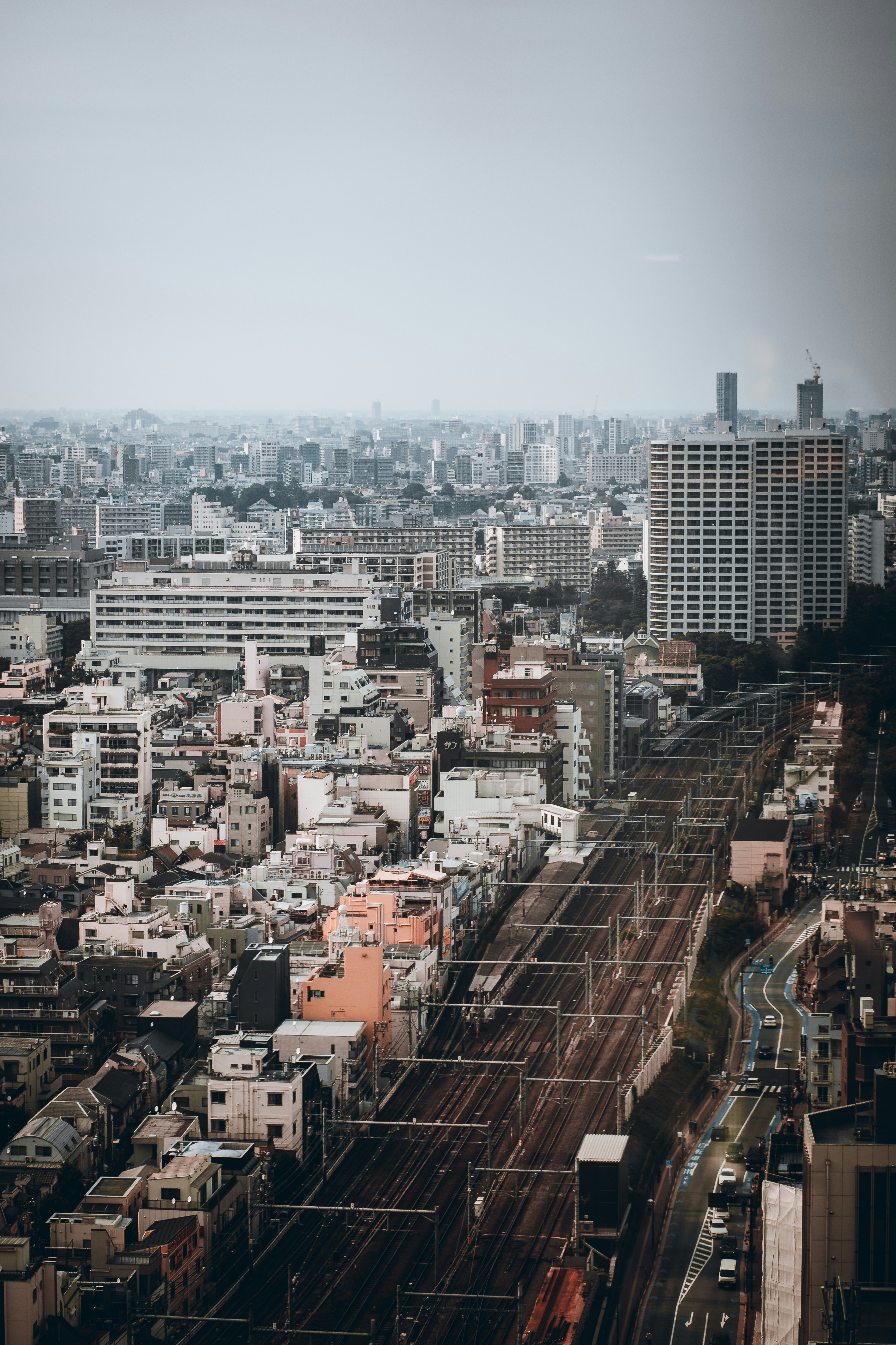 Photo by shields_mcmxcix