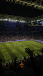 Stadium filled with fans watching a live match under bright lights.