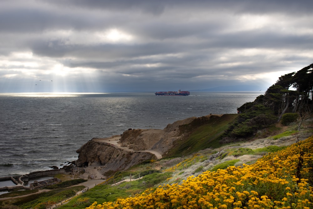 a large cargo ship in the distance on the ocean