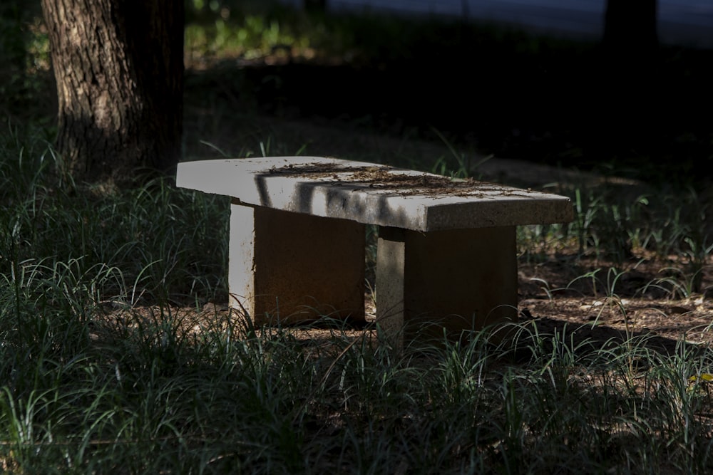 a concrete bench sitting in the grass next to a tree