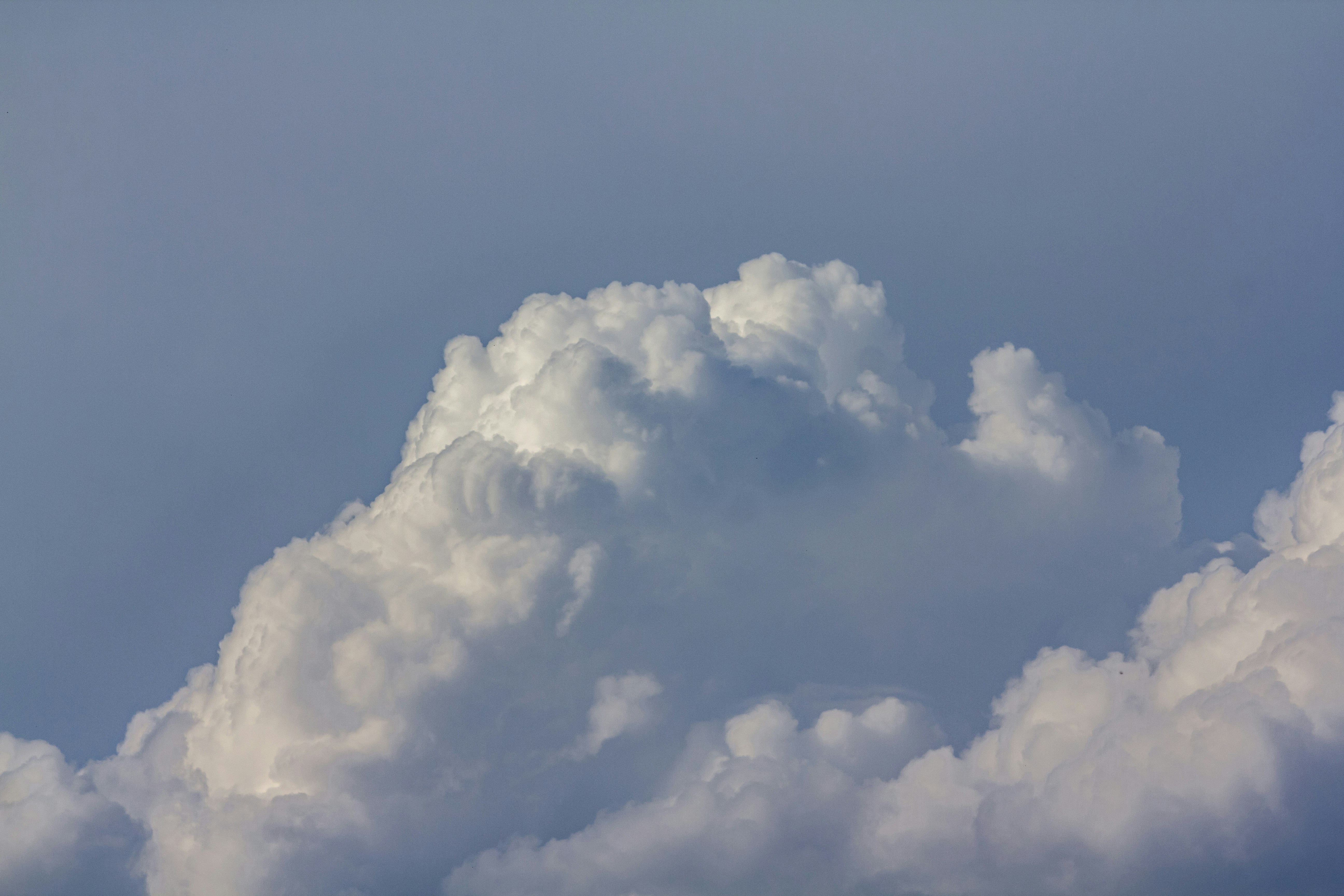 Photo by kevinwang413156