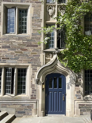 An elegant arched door painted deep blue, framed by climbing ivy on a stone wall.