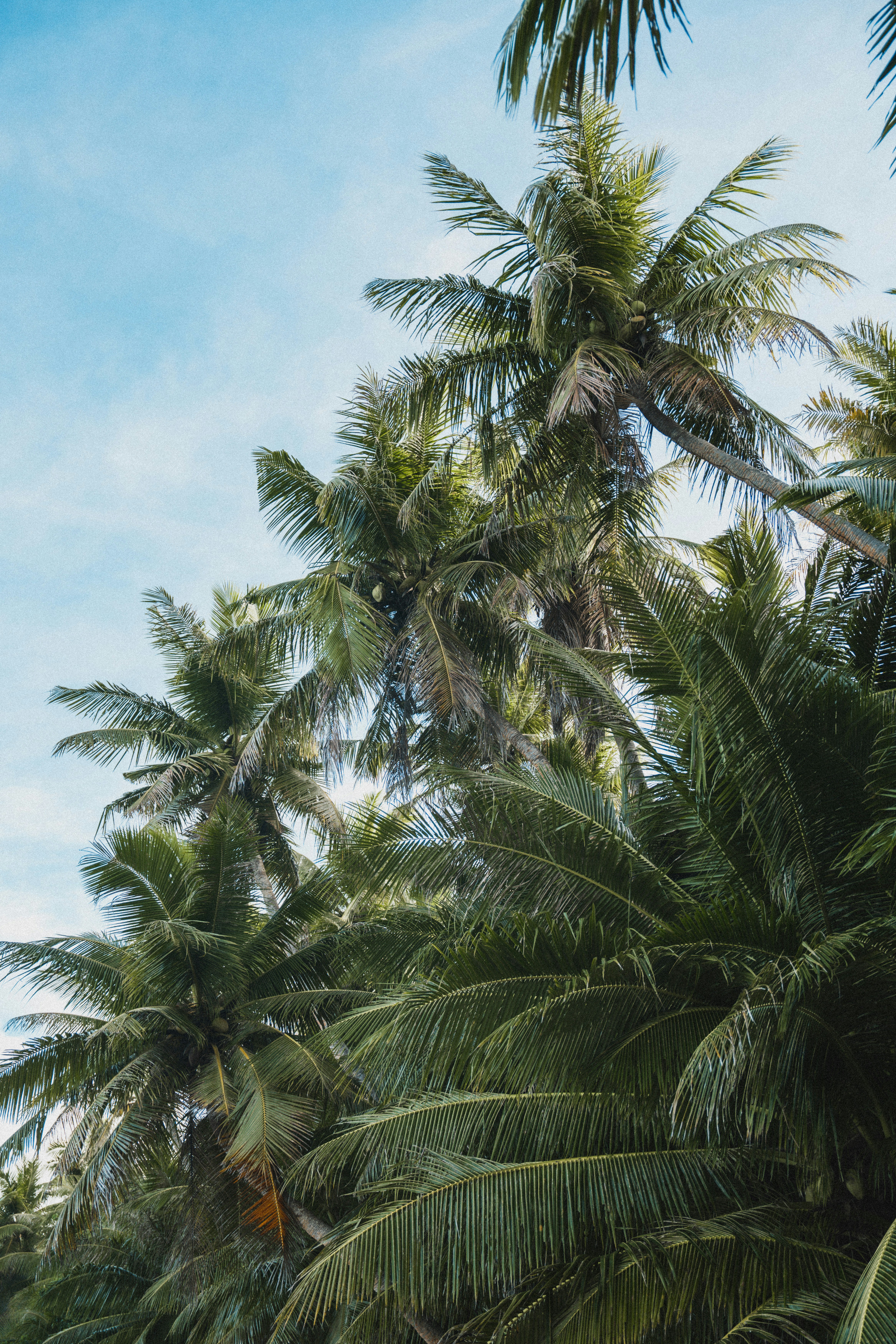 Photo by rachelsloanphoto